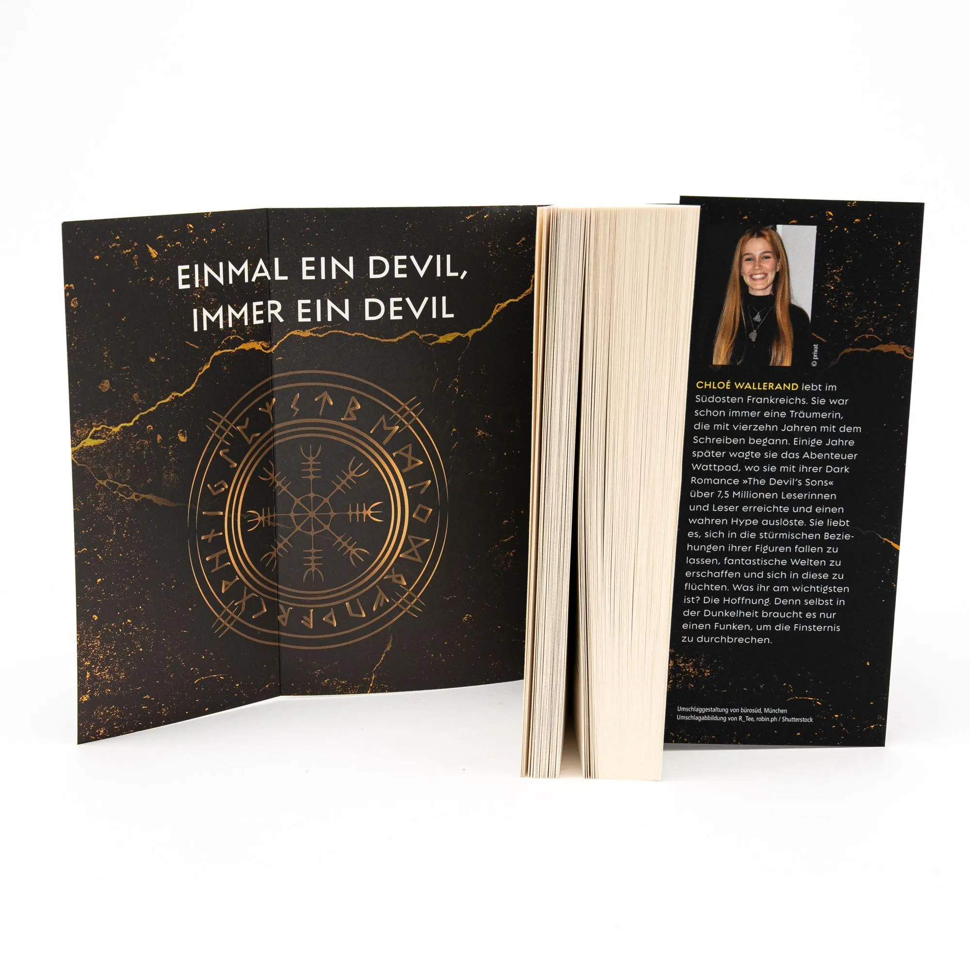 Bild: 9783745704693 | The Devil's Sons 3 | Chloe Wallerand | Taschenbuch | 496 S. | Deutsch