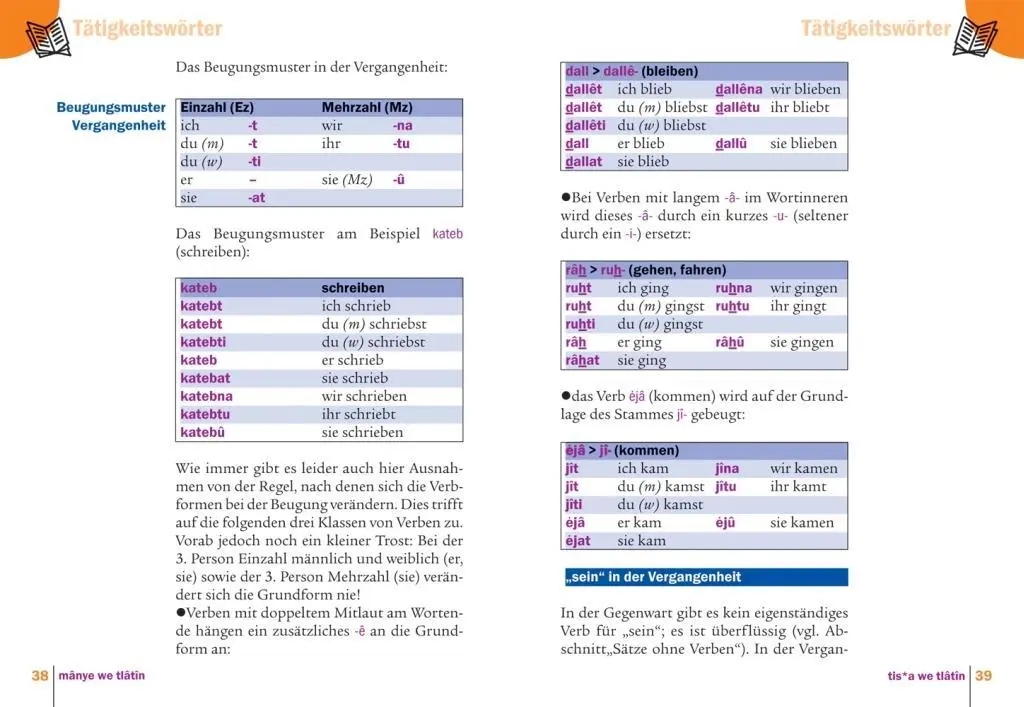 Bild: 9783831764693 | Palästinensisch-Syrisch-Arabisch - Wort für Wort | al-Ghafari (u. a.)