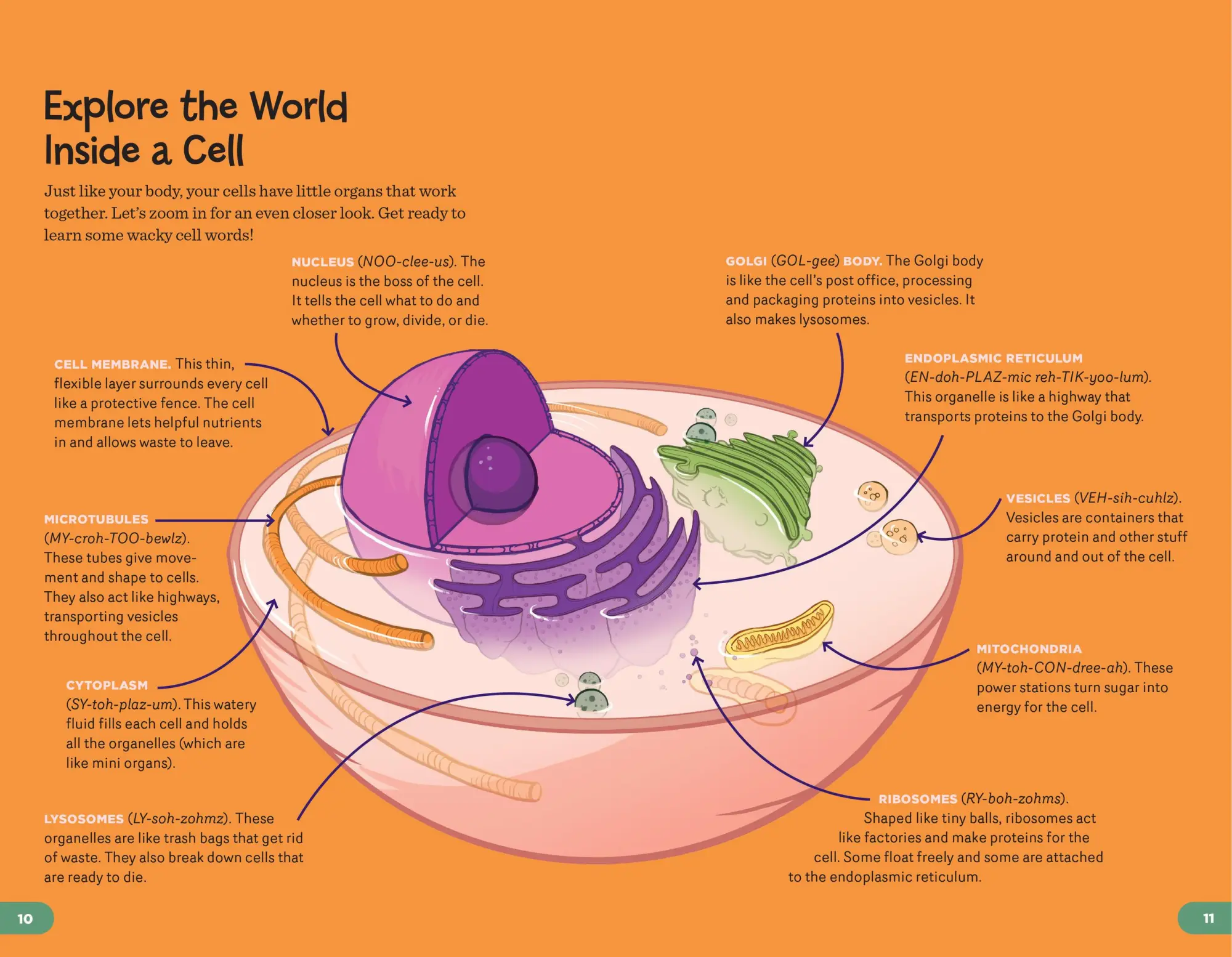 Bild: 9781635864793 | Human Body Learning Lab | Betty Choi | Taschenbuch | Englisch | 2022