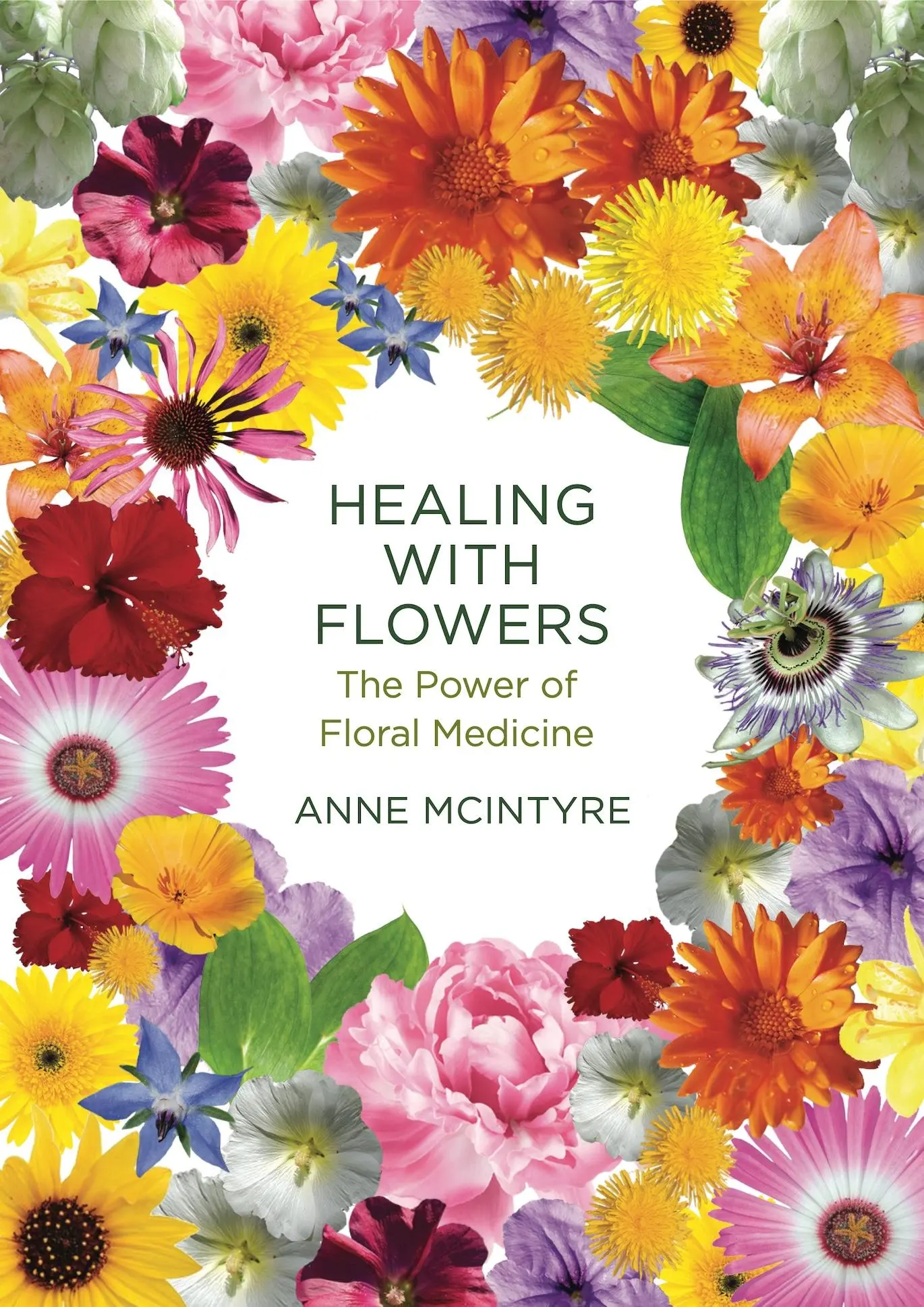 Cover: 9781913504793 | Healing with Flowers | The Power of Floral Medicine | Anne Mcintyre