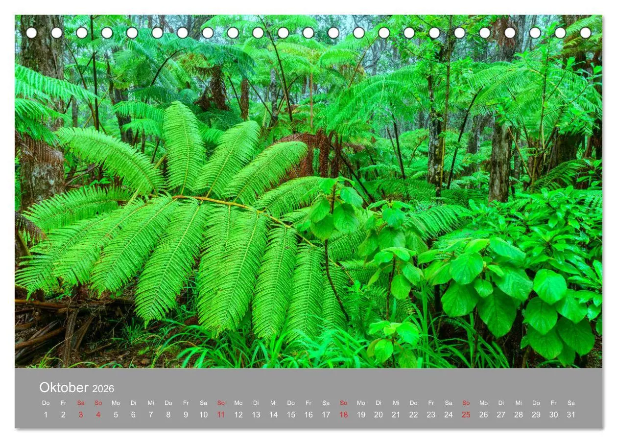Bild: 9783457774793 | SPIRIT OF HAWAII (Tischkalender 2026 DIN A5 quer), CALVENDO...