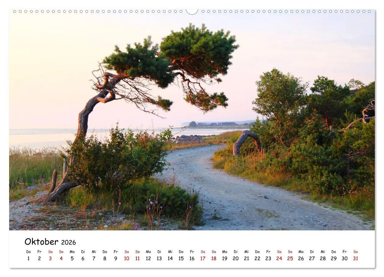 Bild: 9783457914793 | Gotland Impressionen (Wandkalender 2026 DIN A2 quer), CALVENDO...