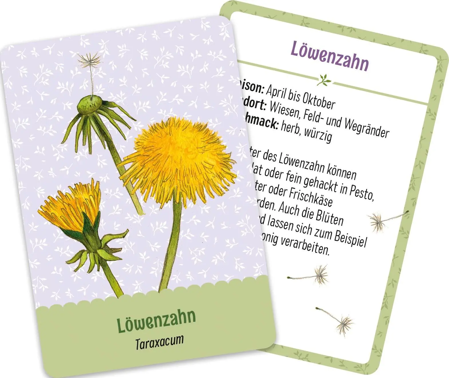 Bild: 4260308344893 | Pflück dir Glück | Pattloch Verlag | Box | Schachtel | 51 S. | Deutsch