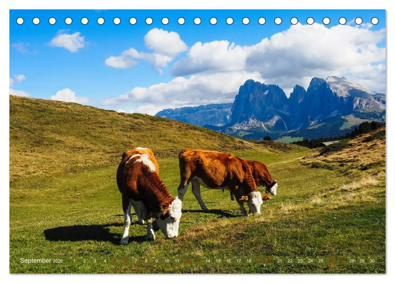 Bild: 9783457694893 | Sehnsucht Seiser Alm (Tischkalender 2026 DIN A5 quer), CALVENDO...