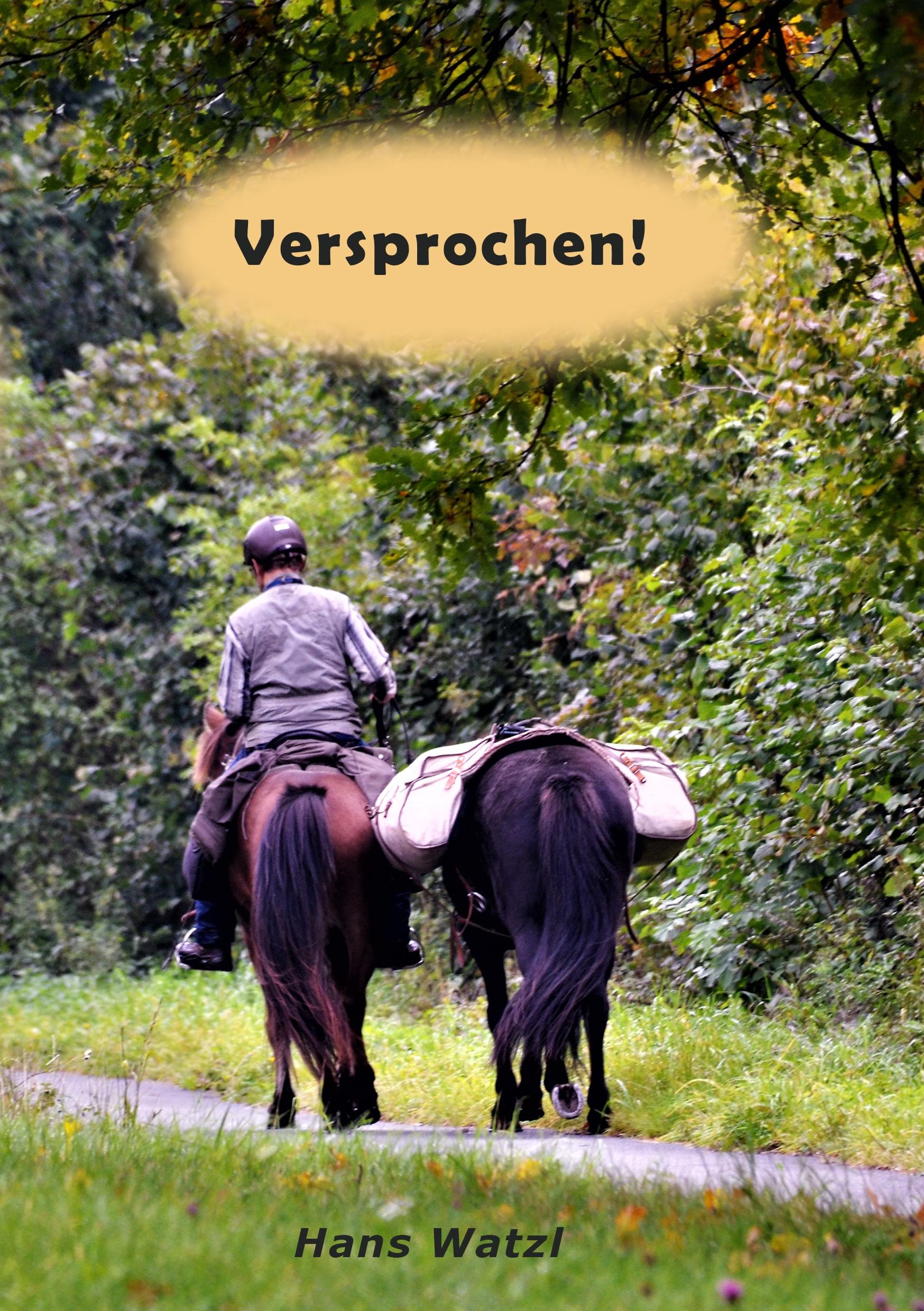 Cover: 9783944464893 | Versprochen! | Hans Watzl | Taschenbuch | Paperback | 176 S. | Deutsch