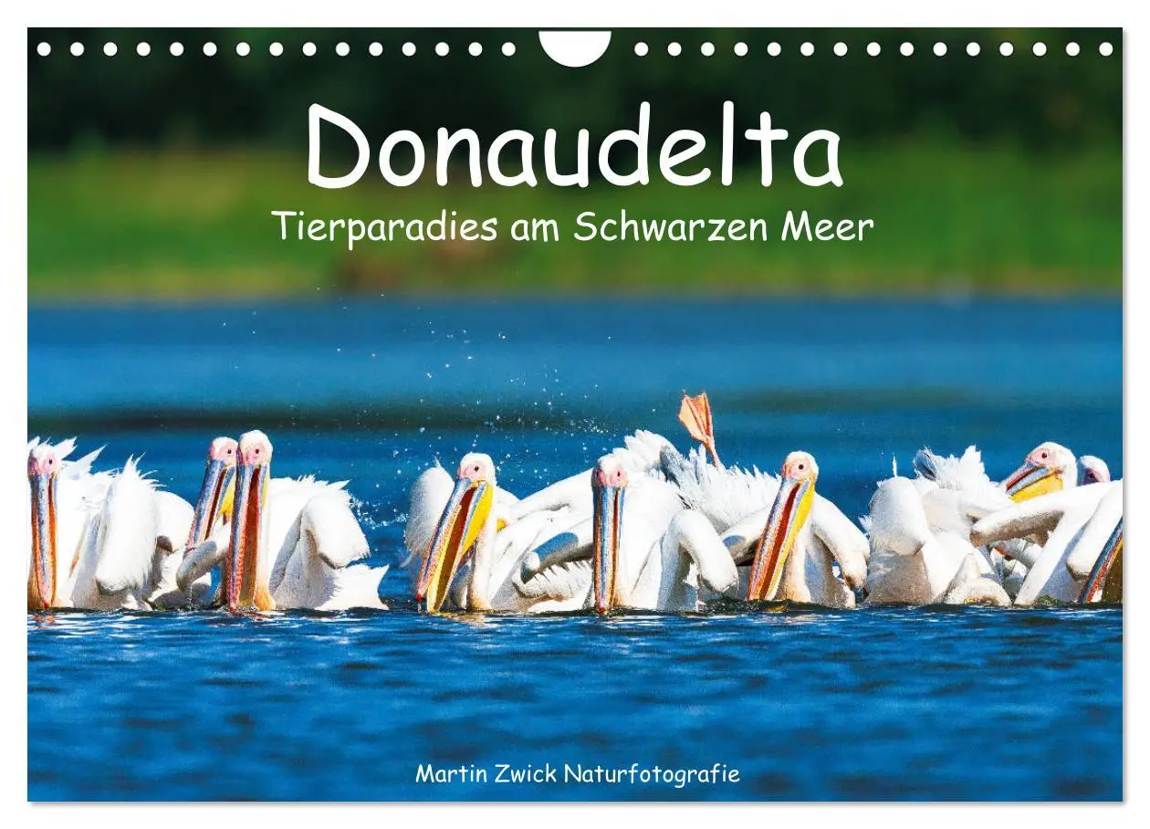 Cover: 9783457684993 | Donaudelta - Tierparadies am Schwarzen Meer (Wandkalender 2026 DIN...