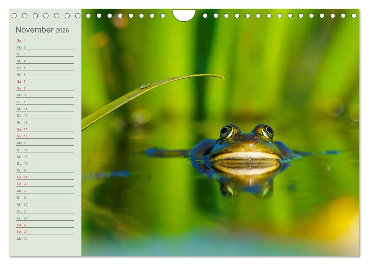 Bild: 9783457684993 | Donaudelta - Tierparadies am Schwarzen Meer (Wandkalender 2026 DIN...