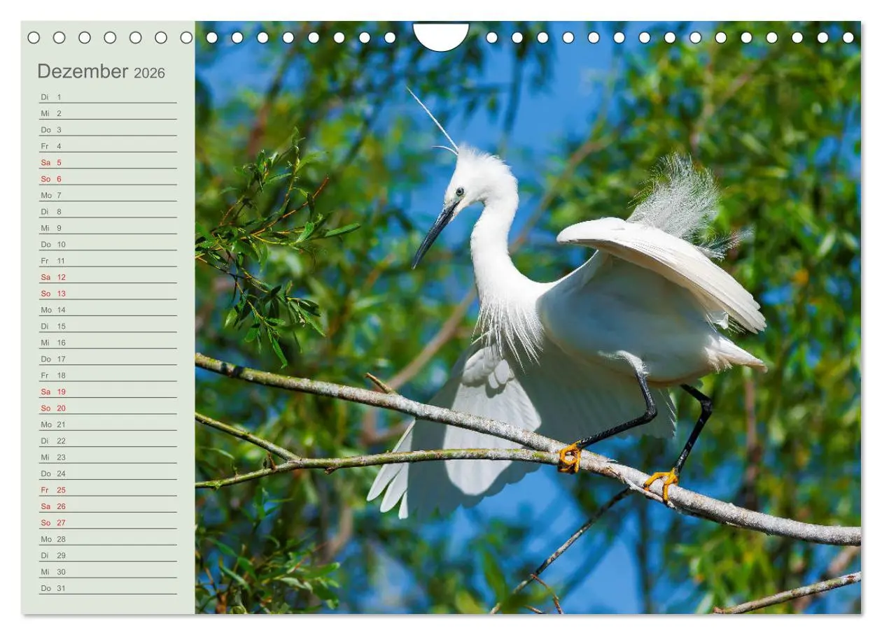 Bild: 9783457684993 | Donaudelta - Tierparadies am Schwarzen Meer (Wandkalender 2026 DIN...