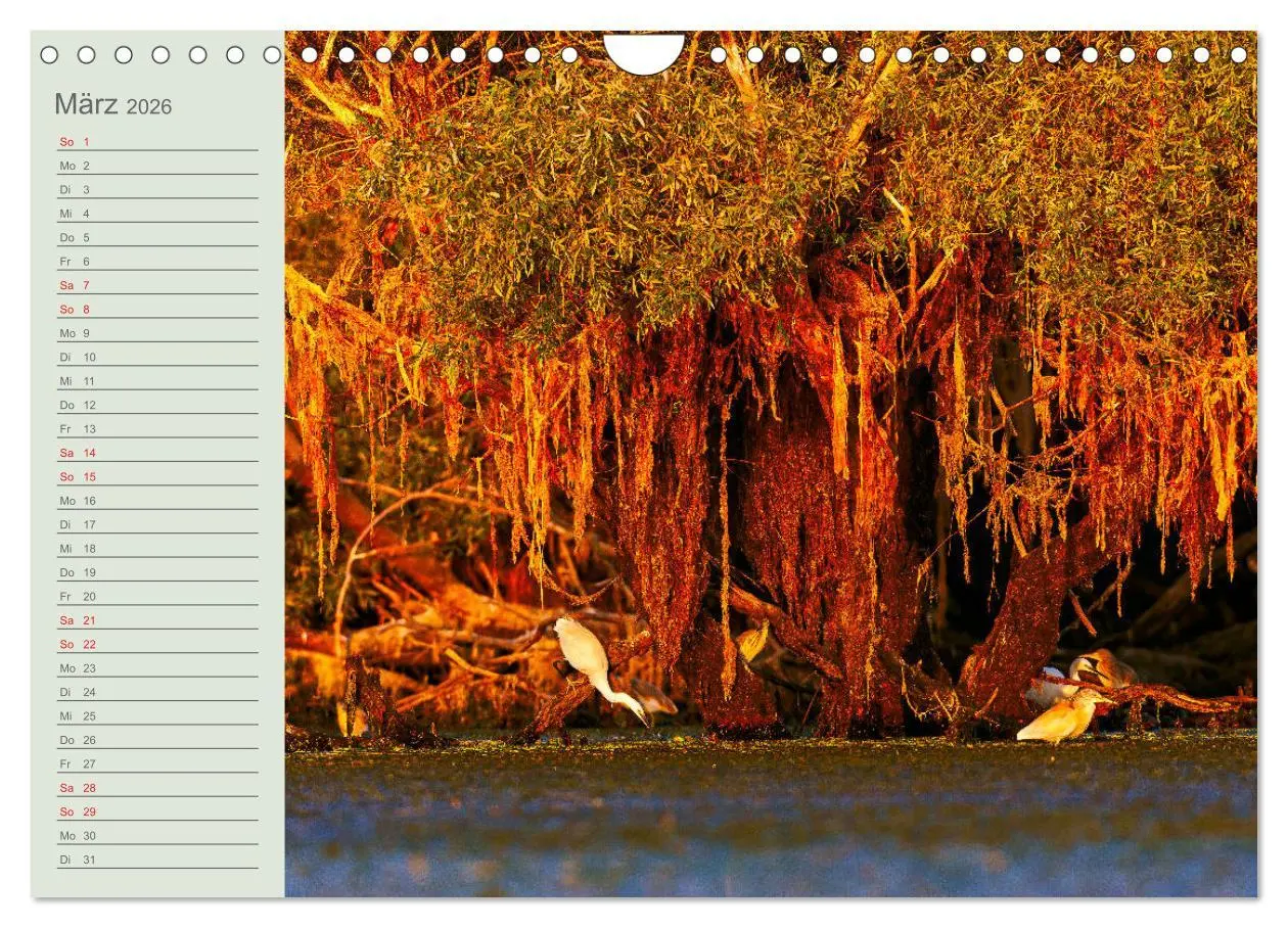 Bild: 9783457684993 | Donaudelta - Tierparadies am Schwarzen Meer (Wandkalender 2026 DIN...