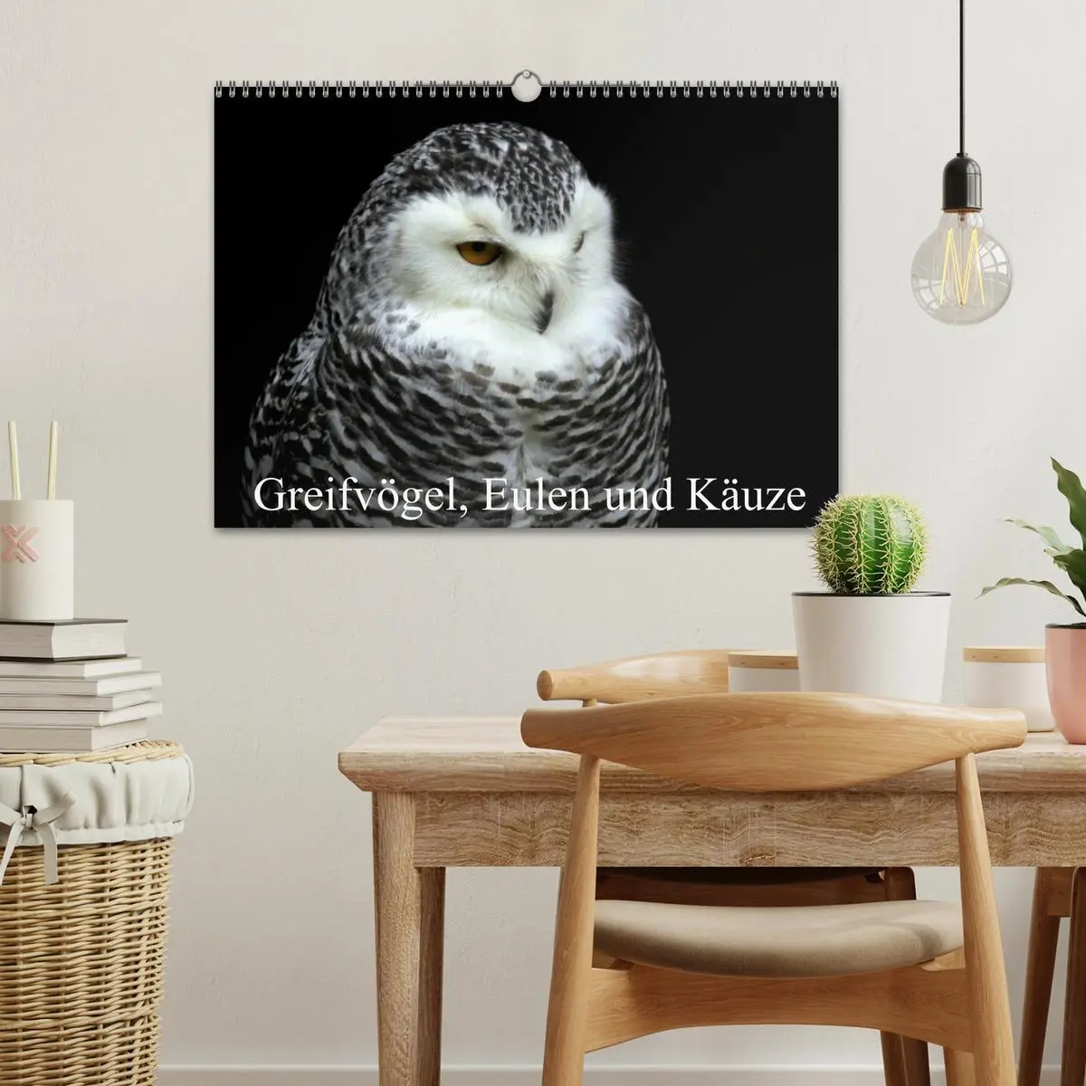 Bild: 9783457994993 | Greifvögel, Eulen und Käuze (Wandkalender 2026 DIN A3 quer),...