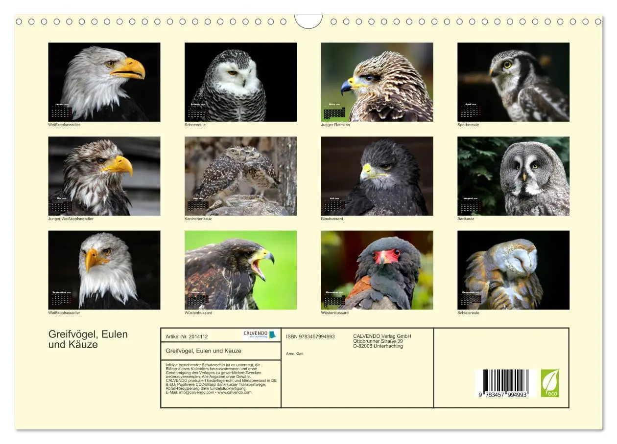 Bild: 9783457994993 | Greifvögel, Eulen und Käuze (Wandkalender 2026 DIN A3 quer),...