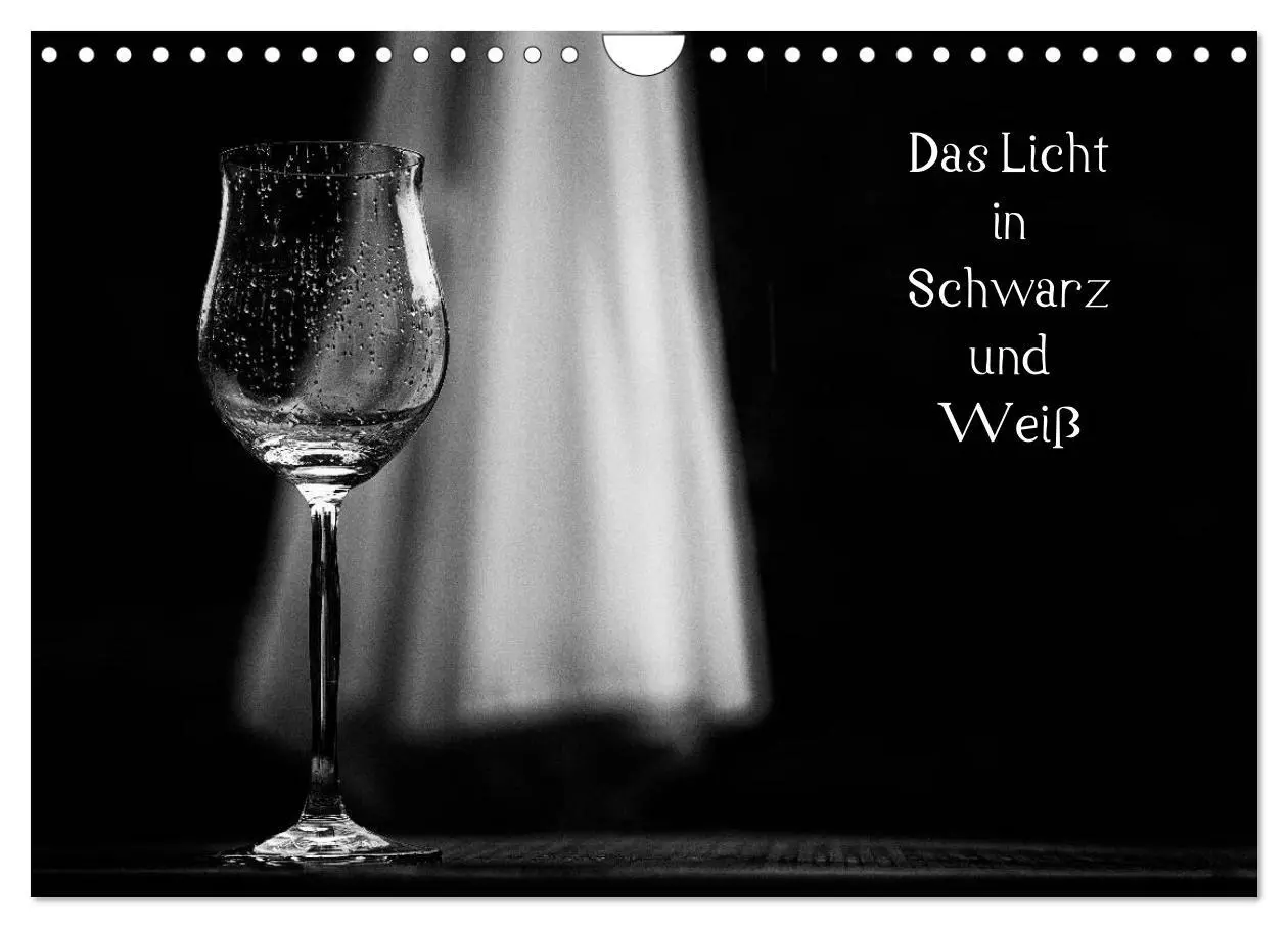 Cover: 9783516154993 | Das Licht in Schwarz und Weiß (Wandkalender 2026 DIN A4 quer),...