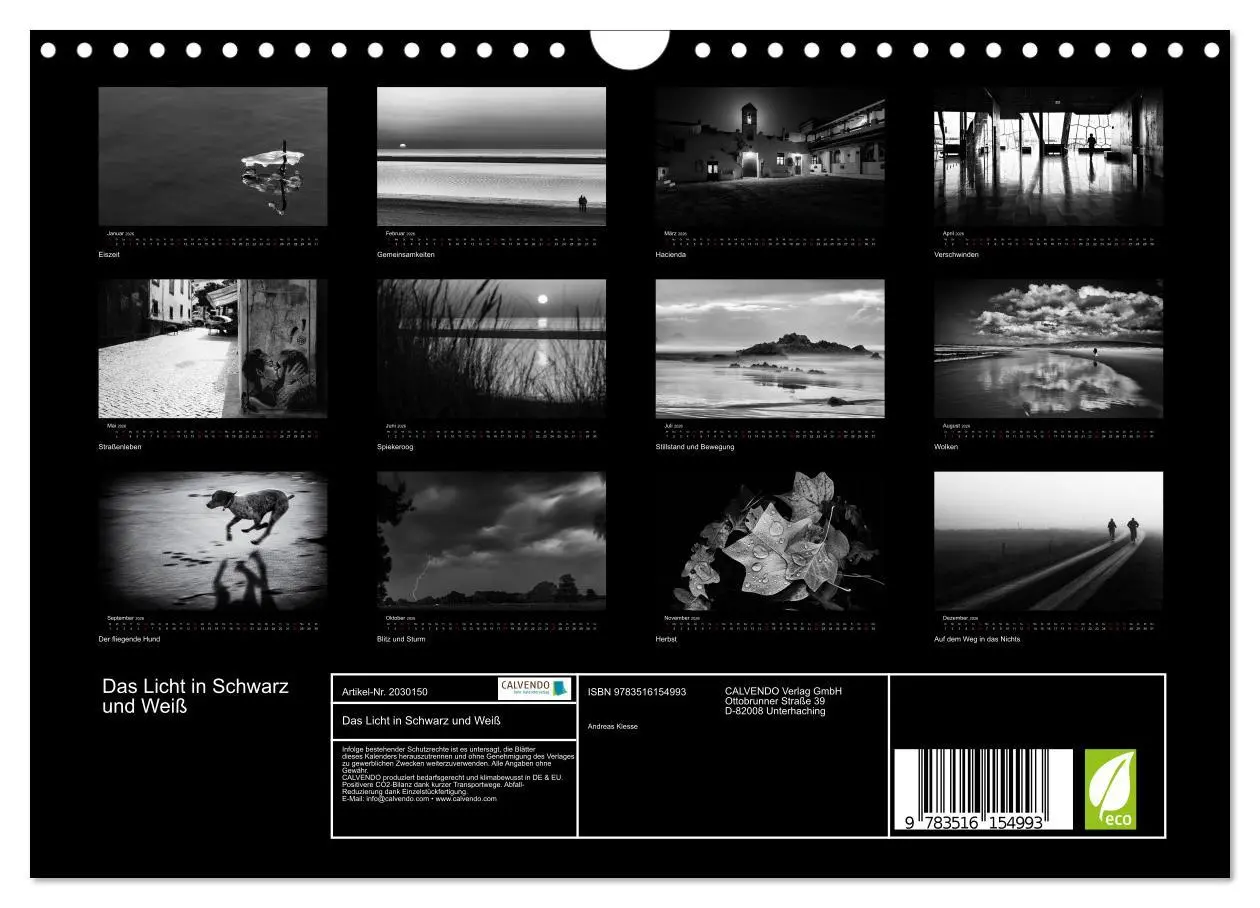 Bild: 9783516154993 | Das Licht in Schwarz und Weiß (Wandkalender 2026 DIN A4 quer),...