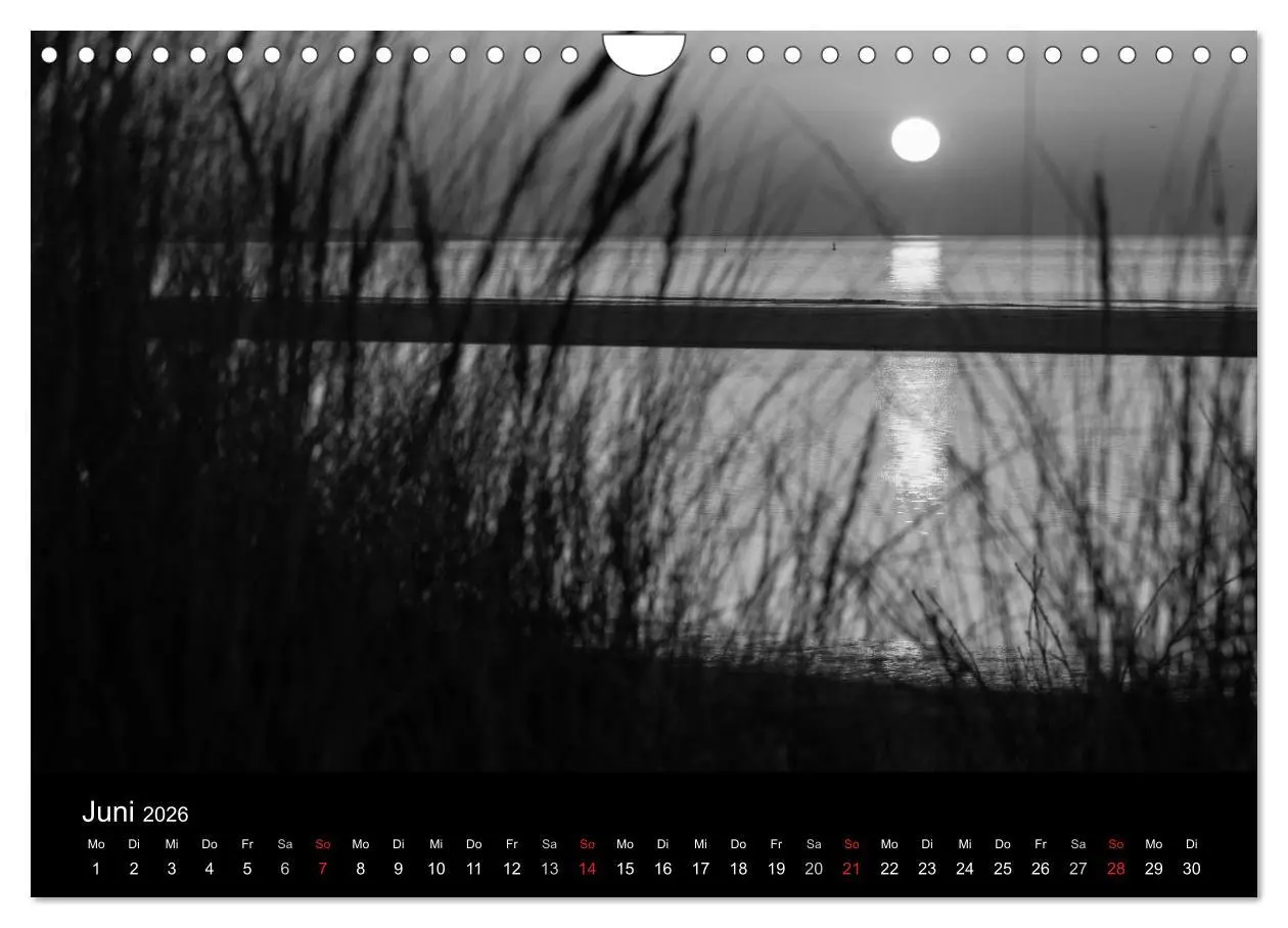 Bild: 9783516154993 | Das Licht in Schwarz und Weiß (Wandkalender 2026 DIN A4 quer),...
