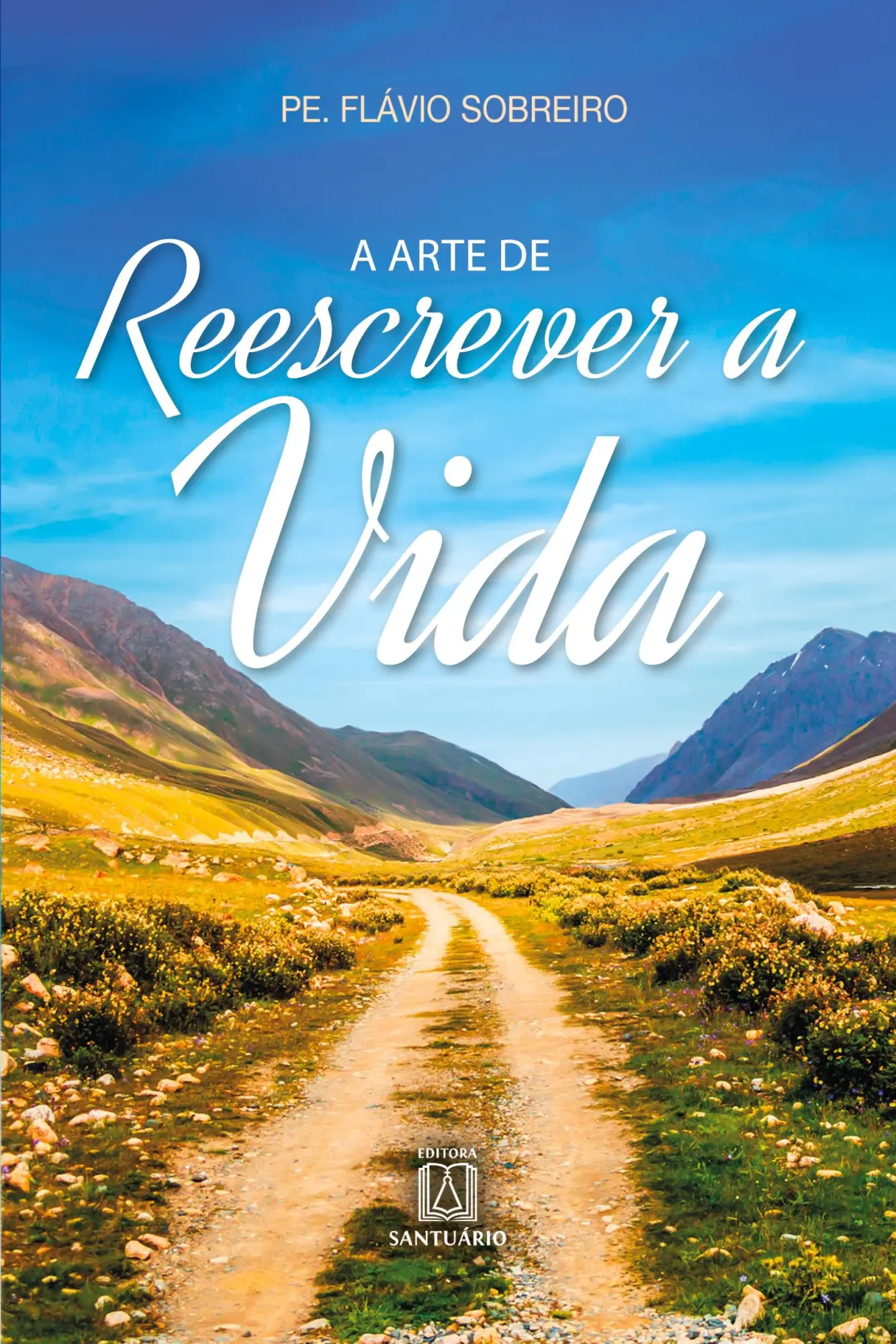 Cover: 9788536904993 | A arte de reescrever a vida | Pe. Flávio Sobreiro | Taschenbuch | 2017