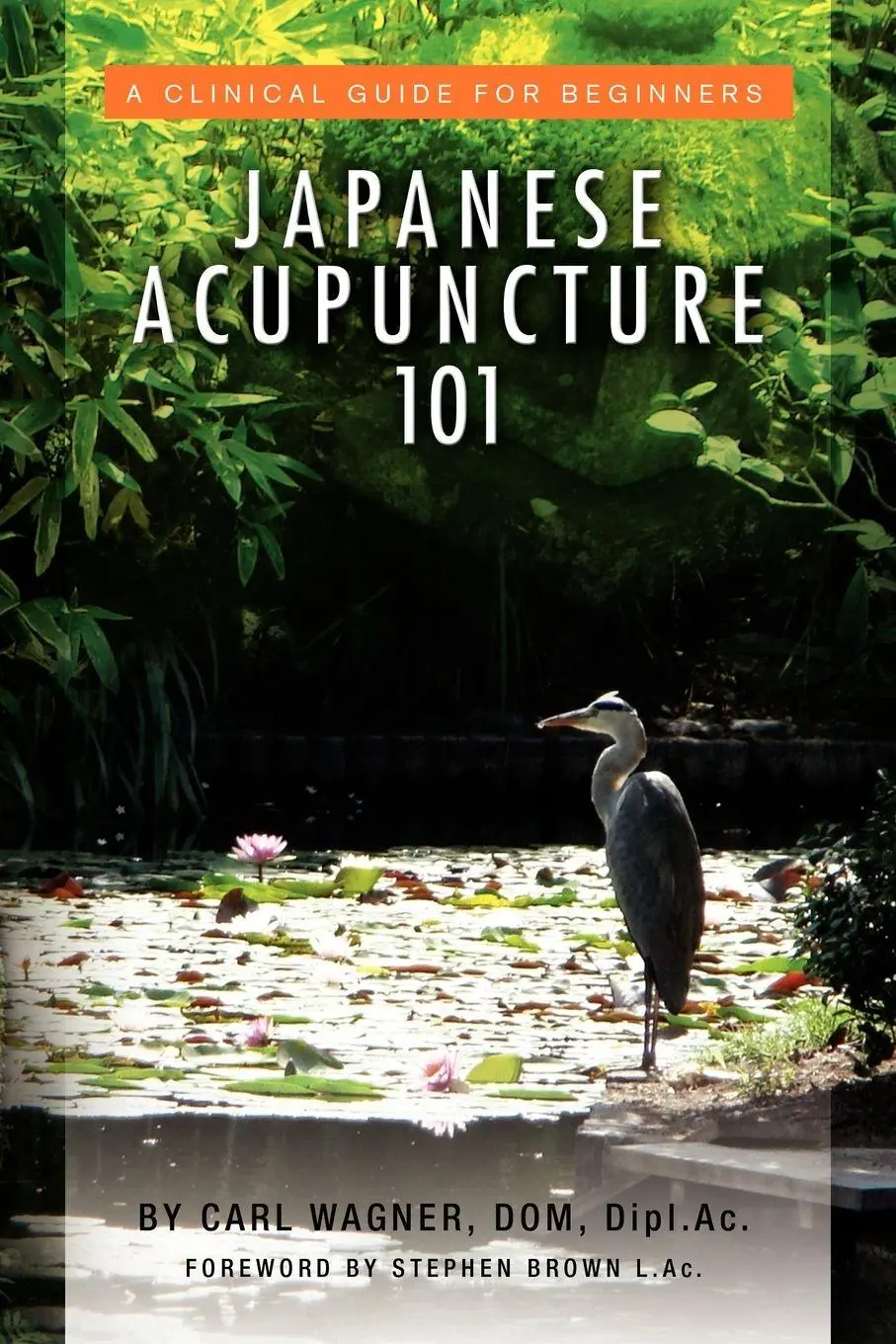 Cover: 9781453575093 | Japanese Acupuncture 101 | Carl Dom Dipl Ac Wagner | Taschenbuch