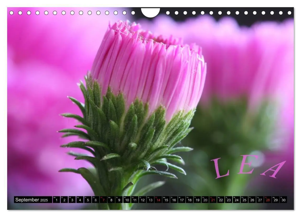 Bild: 9783435625093 | Nur für LEA (Wandkalender 2025 DIN A4 quer), CALVENDO Monatskalender