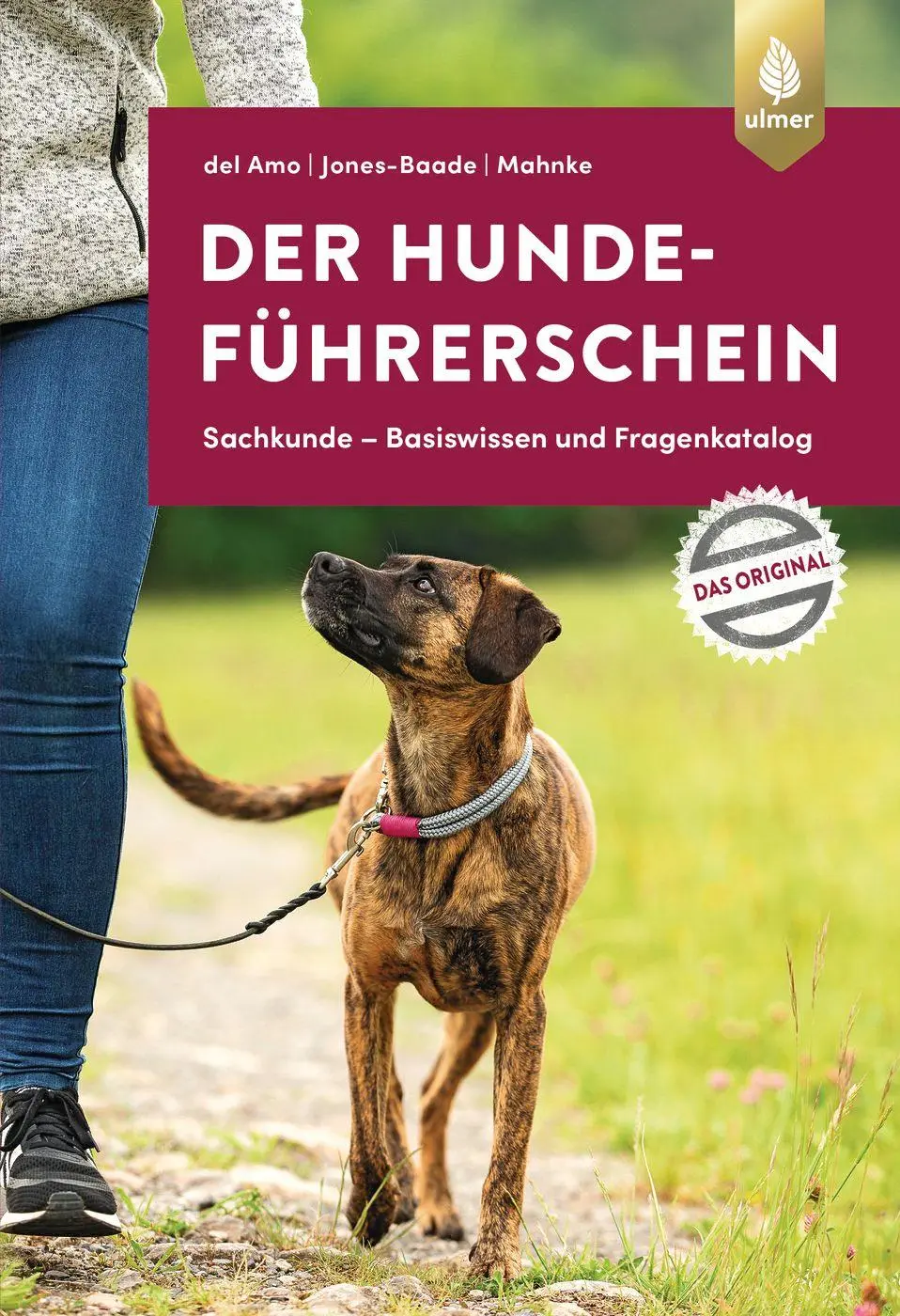 Cover: 9783818615093 | Der Hundeführerschein | Celina del Amo (u. a.) | Taschenbuch | 128 S. Cover: 9783818615093 | Der Hundeführerschein | Celina del Amo (u. a.) | Taschenbuch | 128 S.