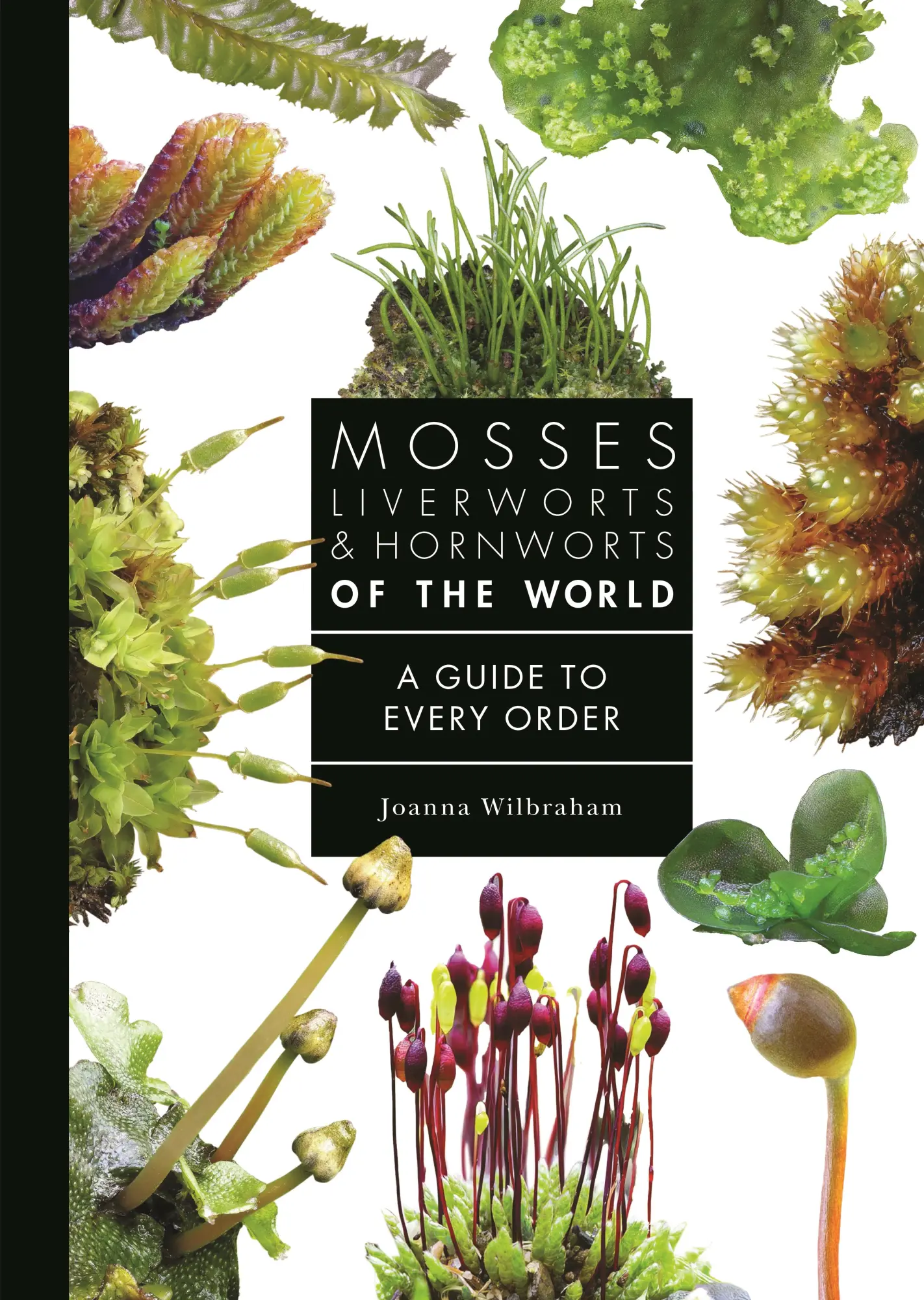 Cover: 9780691265193 | Mosses, Liverworts, and Hornworts of the World | Joanna Wilbraham
