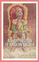 Cover: 9781849045193 | A Short History of Modern Angola | David Birmingham | Taschenbuch