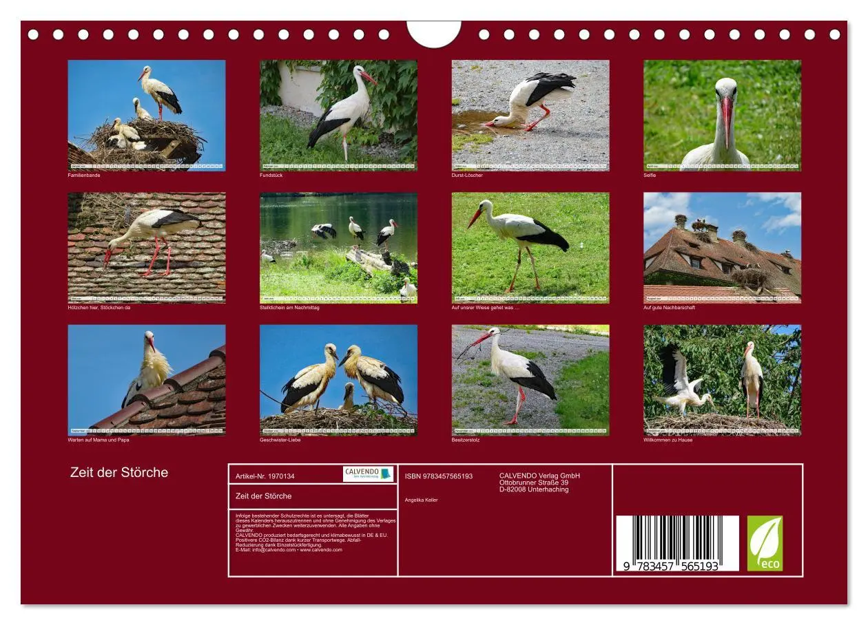 Bild: 9783457565193 | Zeit der Störche (Wandkalender 2026 DIN A4 quer), CALVENDO...