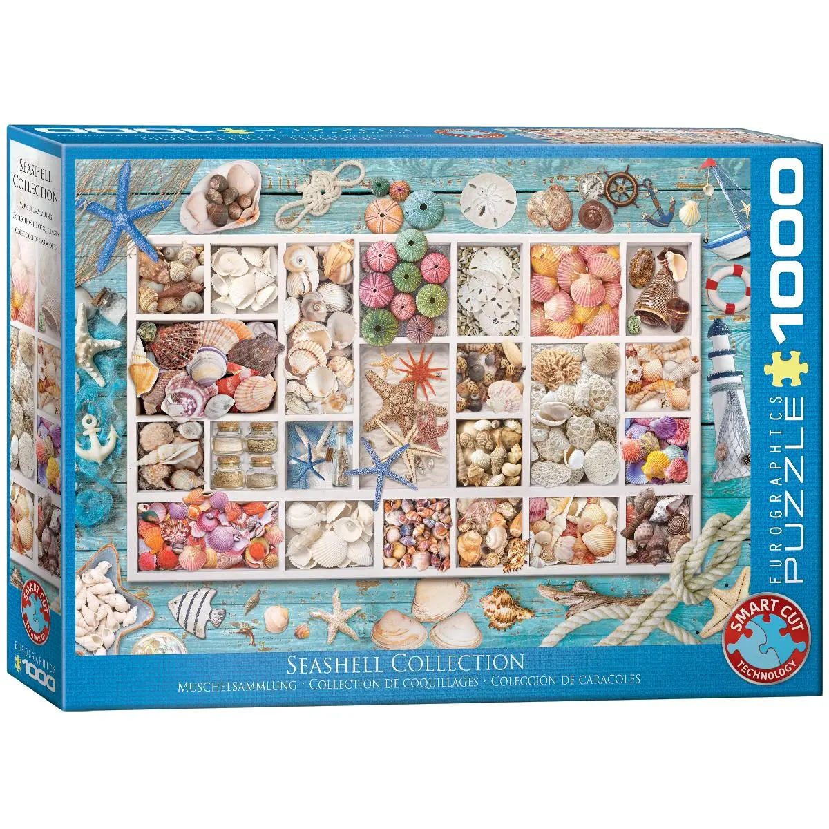 Cover: 628136655293 | Muschelsammlung | Spiel | 6000-5529 | Deutsch | 2022