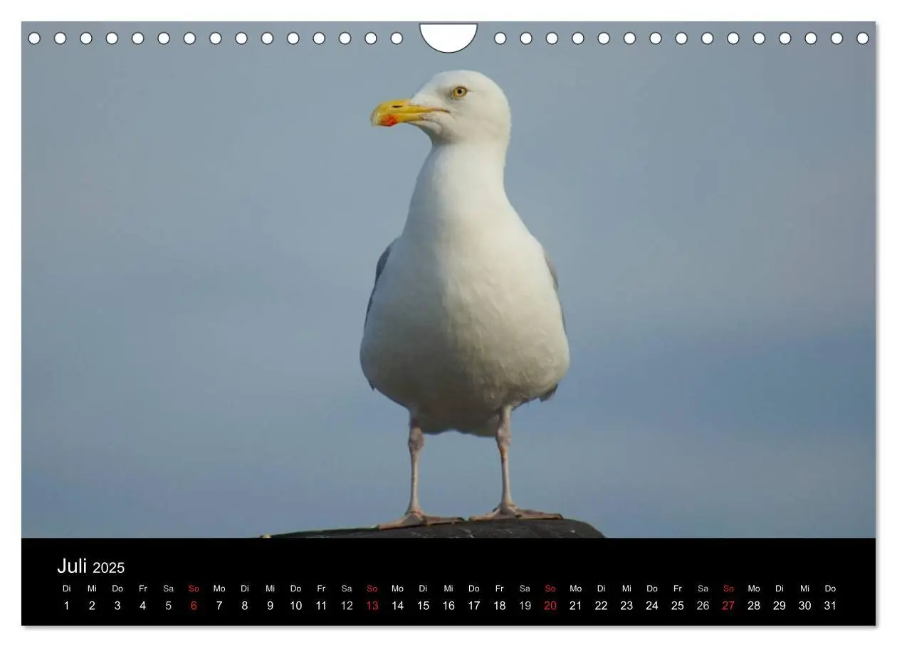 Bild: 9783435765393 | Cuxhaven an der Nordsee (Wandkalender 2025 DIN A4 quer), CALVENDO...