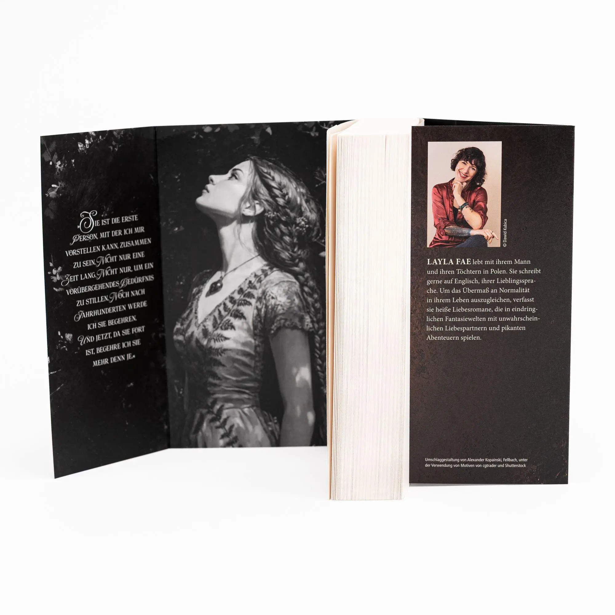 Bild: 9783745705393 | Devil's Doom | Layla Fae | Taschenbuch | 576 S. | Deutsch | 2026