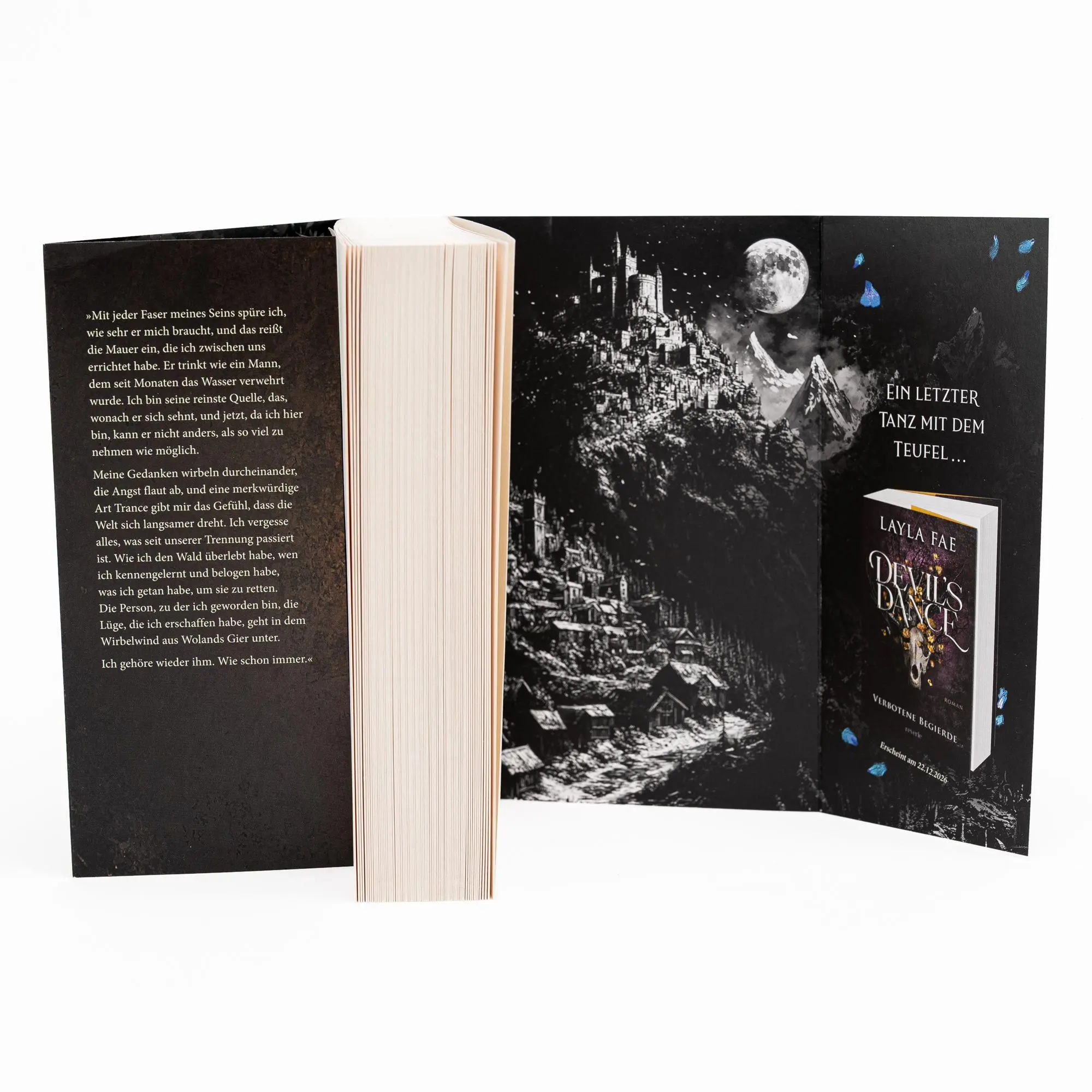 Bild: 9783745705393 | Devil's Doom | Layla Fae | Taschenbuch | 576 S. | Deutsch | 2026