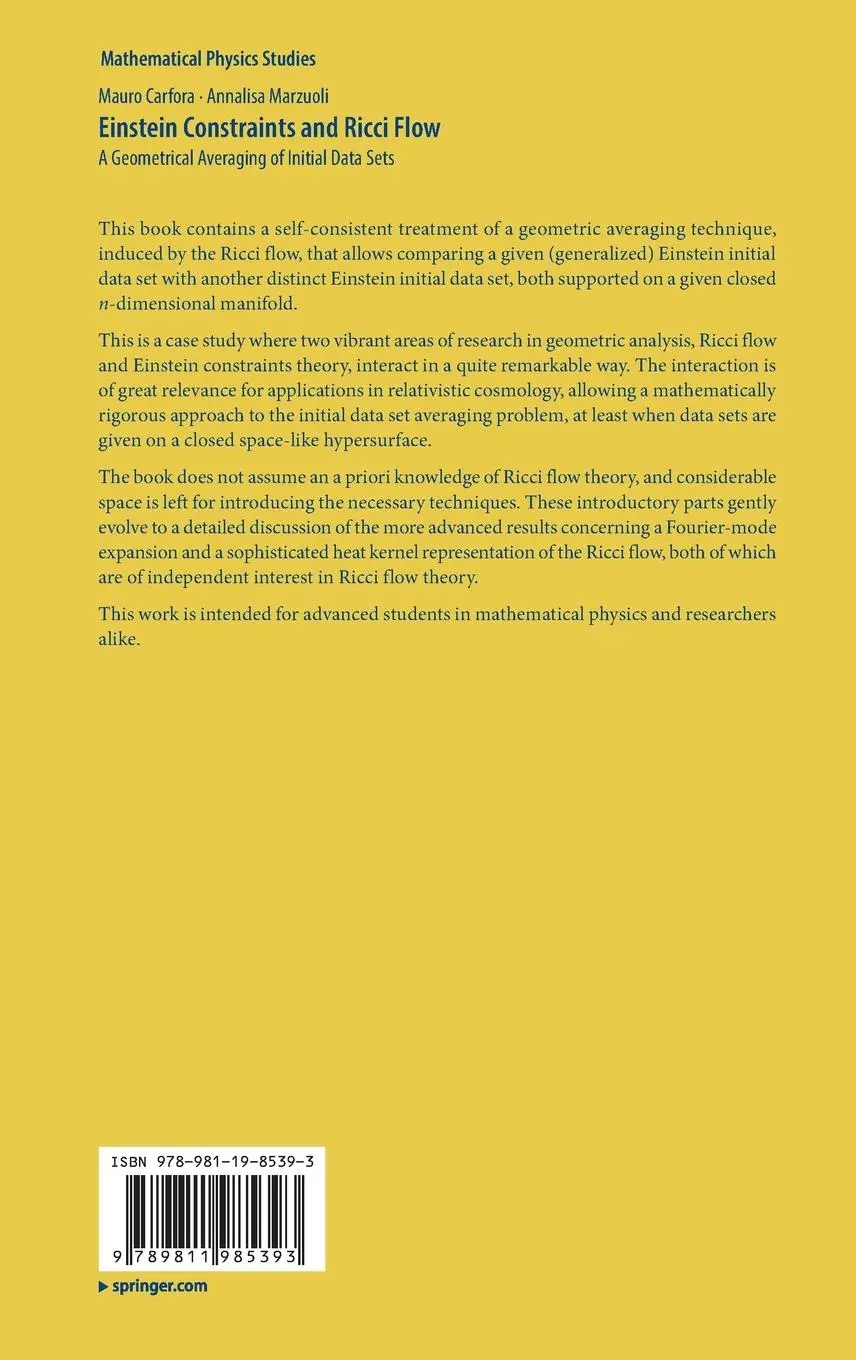 Rückseite: 9789811985393 | Einstein Constraints and Ricci Flow | Annalisa Marzuoli (u. a.) | Buch