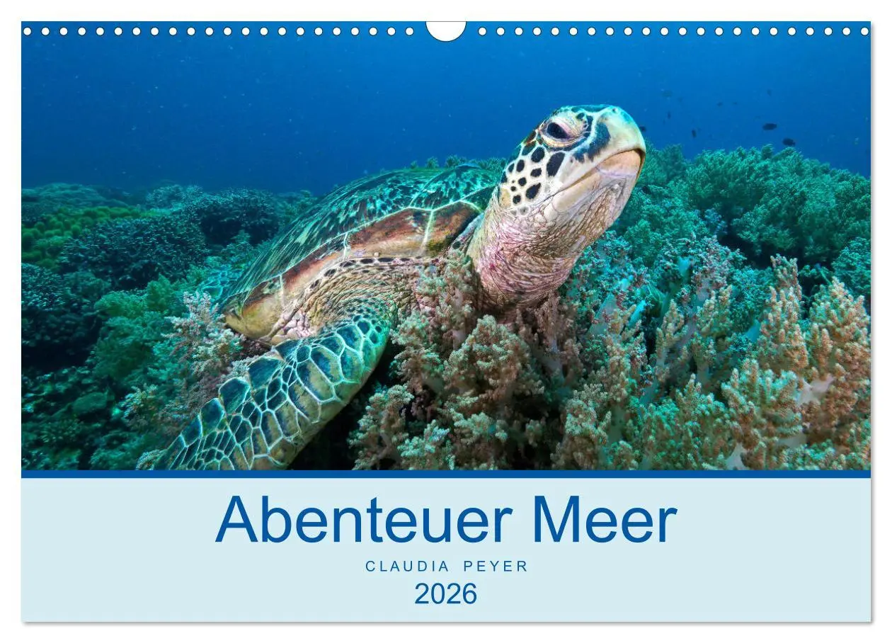 Cover: 9783457775493 | Abenteuer Unterwasser (Wandkalender 2026 DIN A3 quer), CALVENDO...