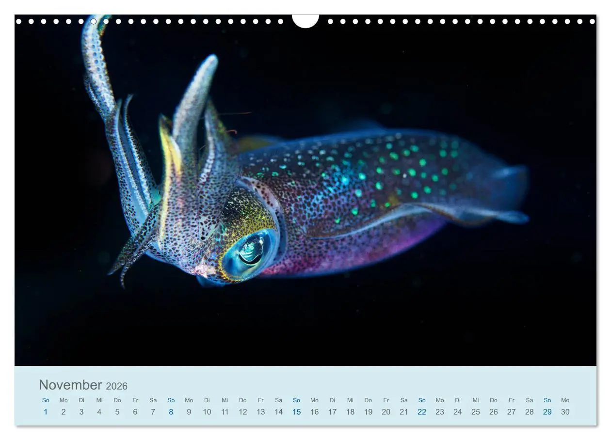 Bild: 9783457775493 | Abenteuer Unterwasser (Wandkalender 2026 DIN A3 quer), CALVENDO...