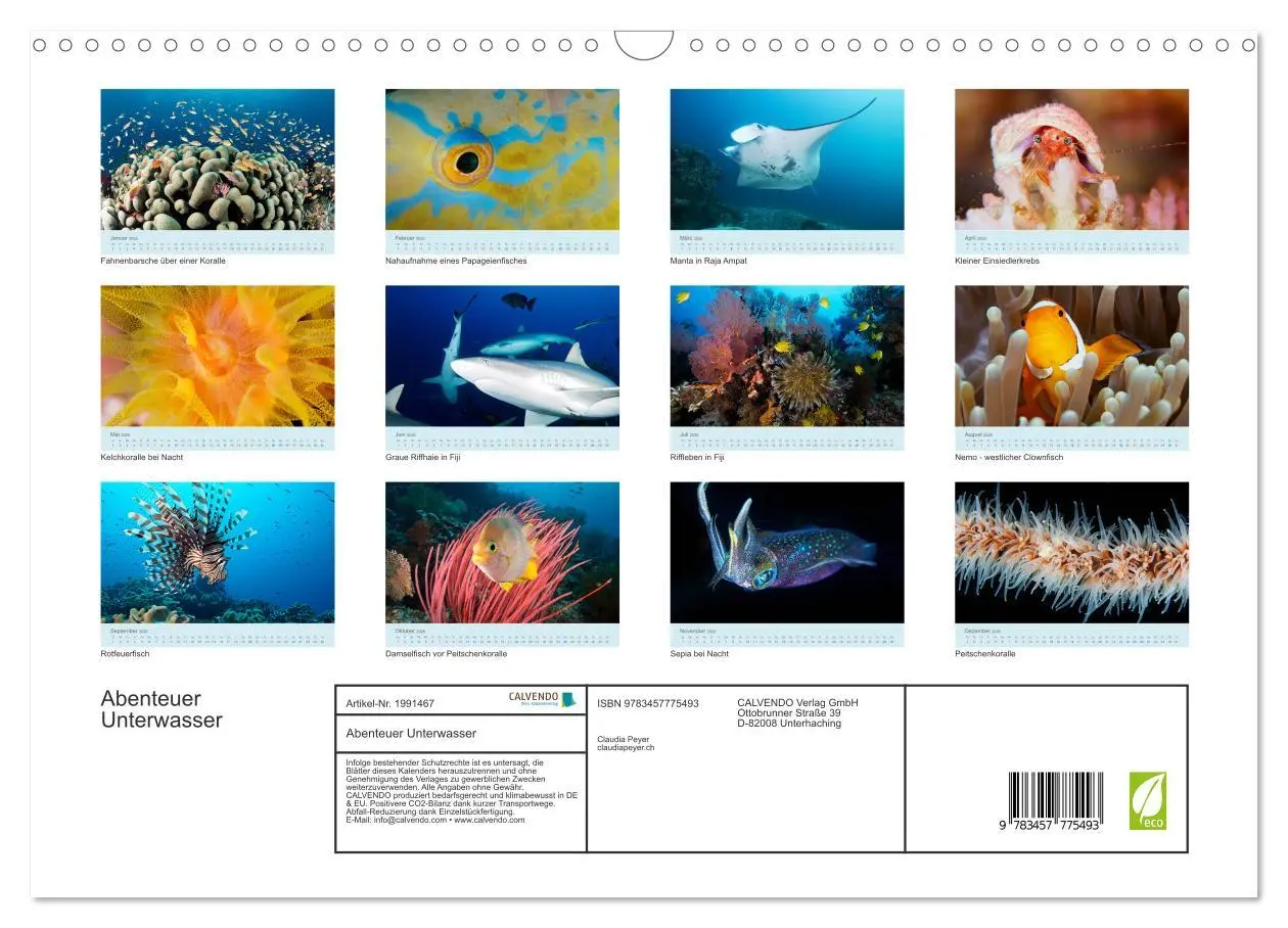 Bild: 9783457775493 | Abenteuer Unterwasser (Wandkalender 2026 DIN A3 quer), CALVENDO...