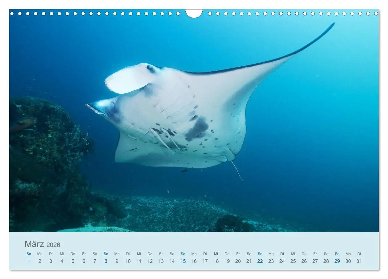 Bild: 9783457775493 | Abenteuer Unterwasser (Wandkalender 2026 DIN A3 quer), CALVENDO...