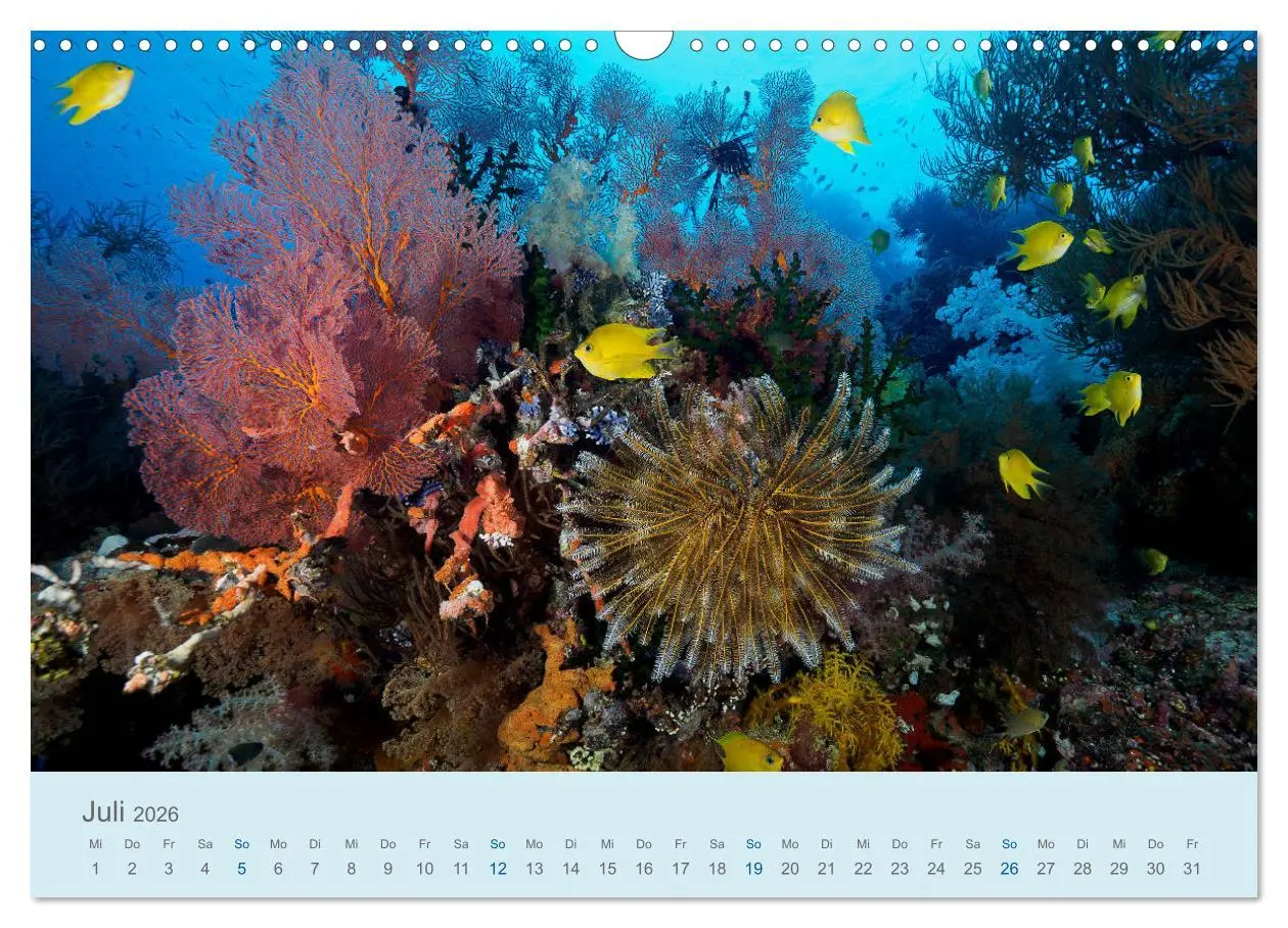 Bild: 9783457775493 | Abenteuer Unterwasser (Wandkalender 2026 DIN A3 quer), CALVENDO...