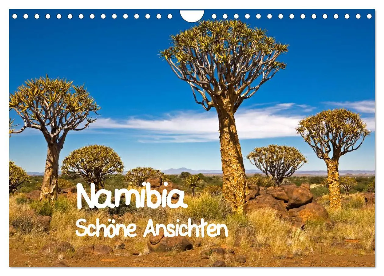 Cover: 9783516175493 | Namibia - Schöne Ansichten (Wandkalender 2026 DIN A4 quer),...