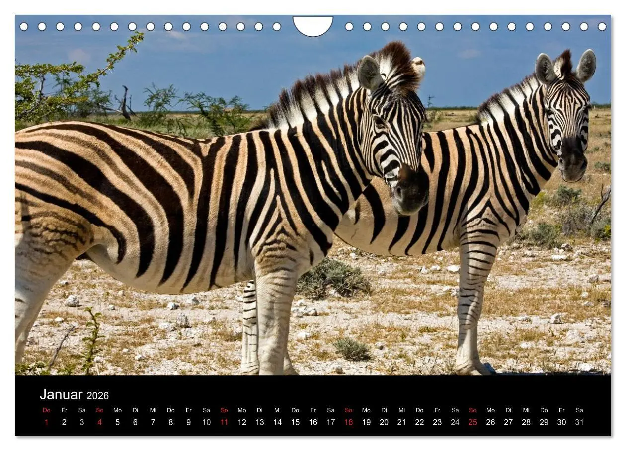 Bild: 9783516175493 | Namibia - Schöne Ansichten (Wandkalender 2026 DIN A4 quer),...