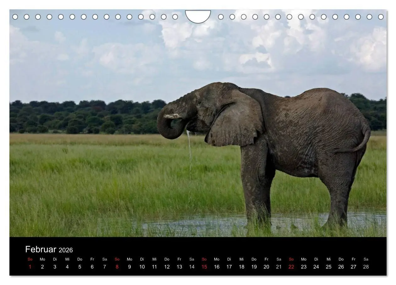 Bild: 9783516175493 | Namibia - Schöne Ansichten (Wandkalender 2026 DIN A4 quer),...