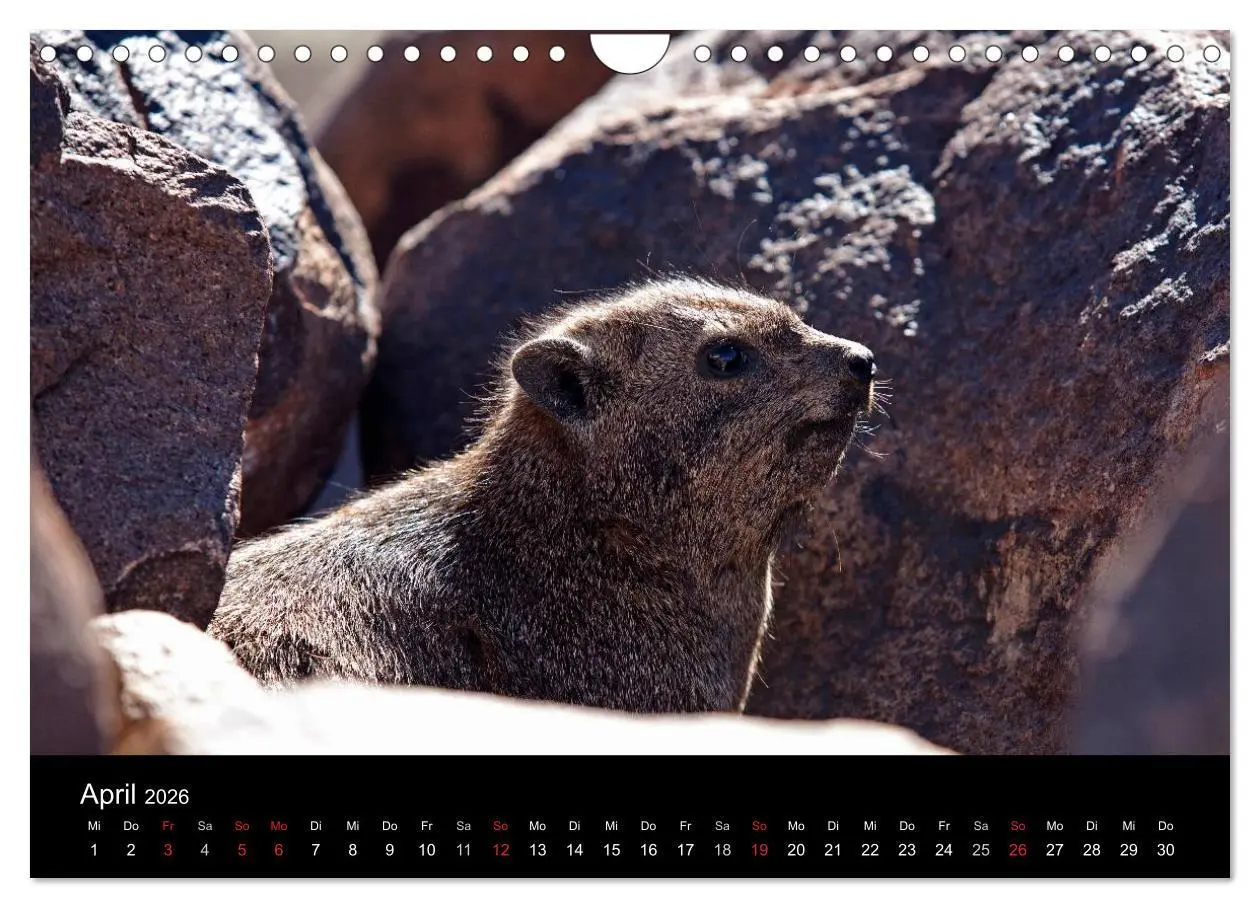 Bild: 9783516175493 | Namibia - Schöne Ansichten (Wandkalender 2026 DIN A4 quer),...
