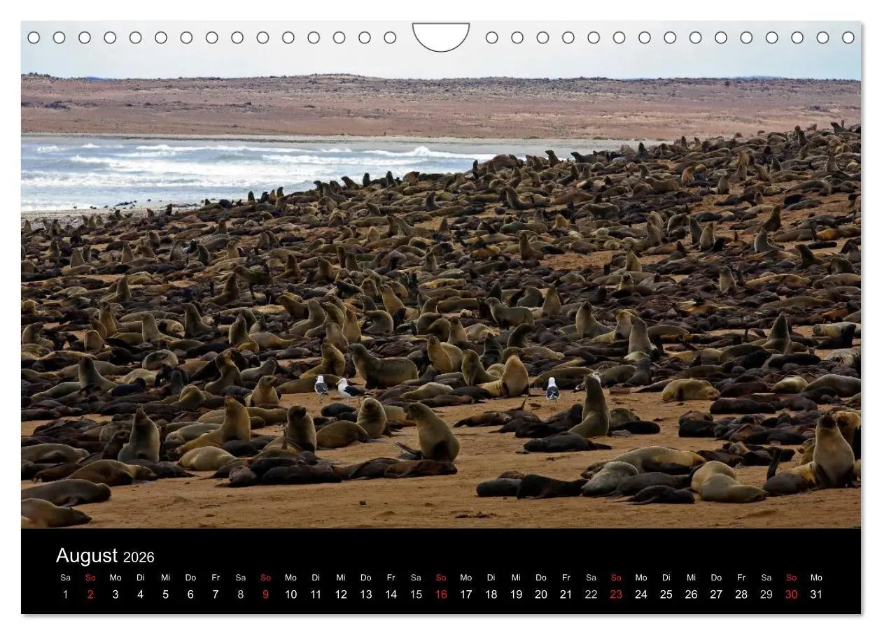 Bild: 9783516175493 | Namibia - Schöne Ansichten (Wandkalender 2026 DIN A4 quer),...