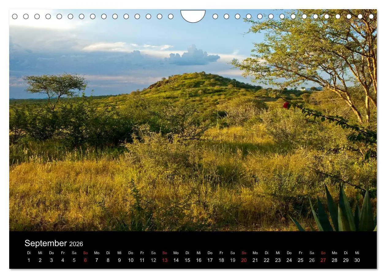 Bild: 9783516175493 | Namibia - Schöne Ansichten (Wandkalender 2026 DIN A4 quer),...