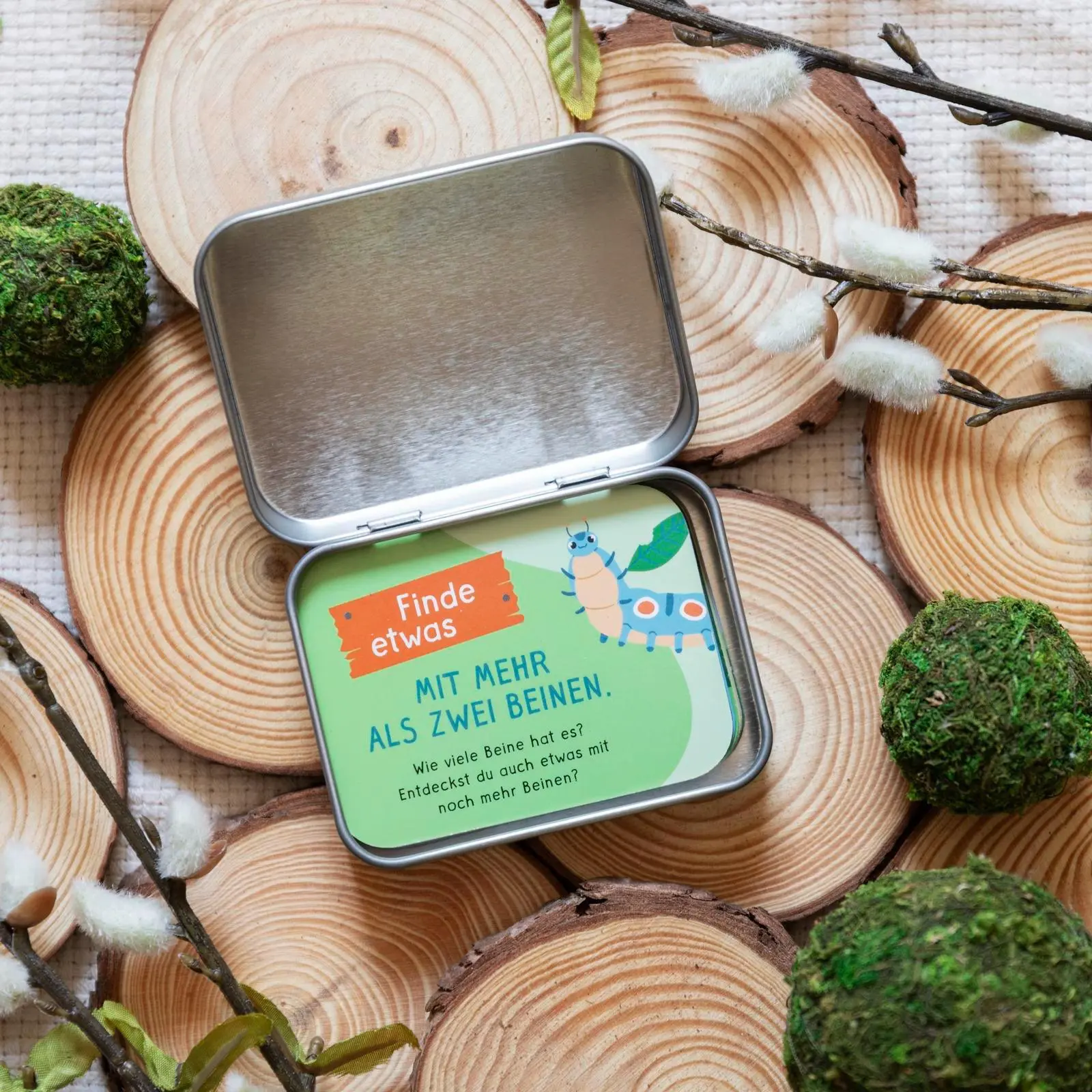 Bild: 4260308345593 | Meine Schatzsuche in der Natur | Pattloch Verlag | Spiel | 25 S.