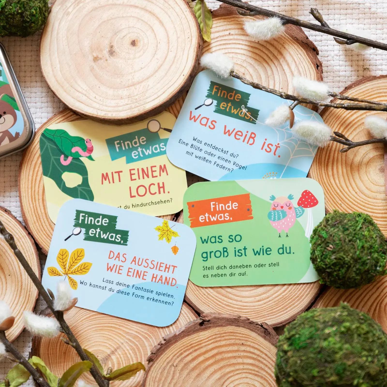 Bild: 4260308345593 | Meine Schatzsuche in der Natur | Pattloch Verlag | Spiel | 25 S.