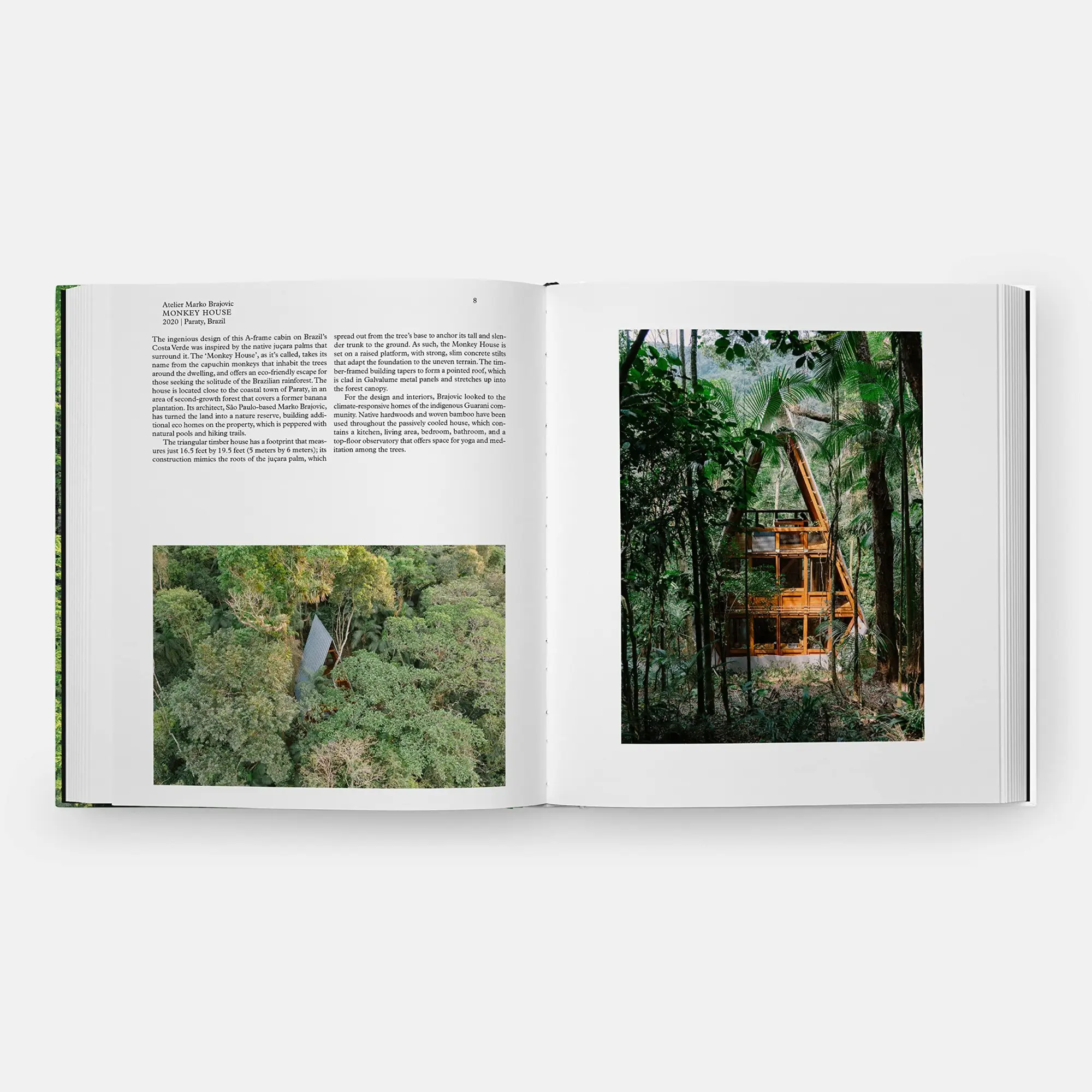 Bild: 9781838665593 | Living in the Forest | Editors Phaidon | Buch | Phaidon Press | 256 S.