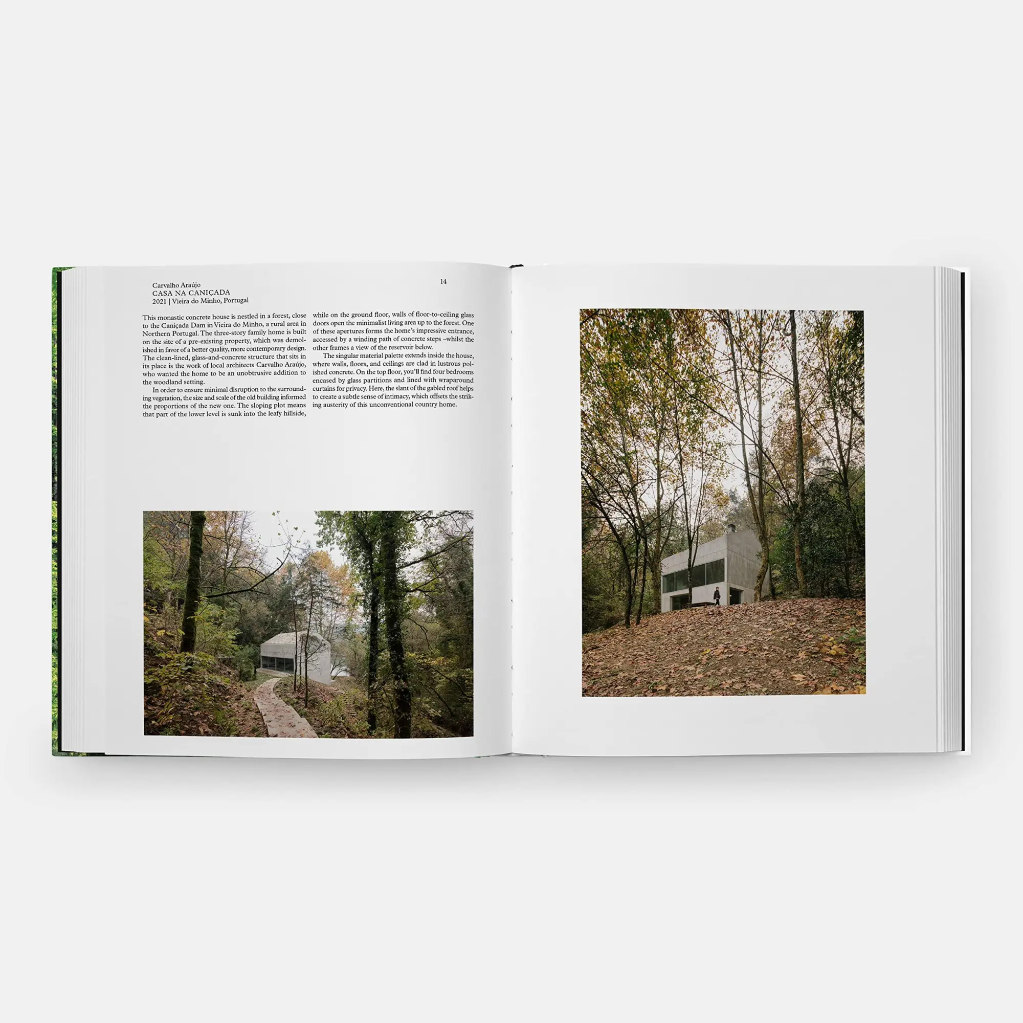 Bild: 9781838665593 | Living in the Forest | Editors Phaidon | Buch | Phaidon Press | 256 S.
