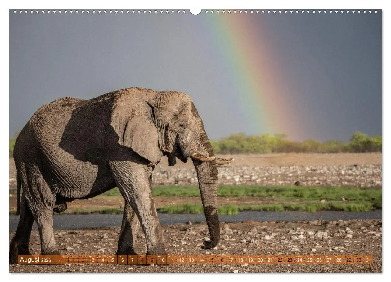 Bild: 9783516235593 | Das südliche Afrika 2026 (hochwertiger Premium Wandkalender 2026...