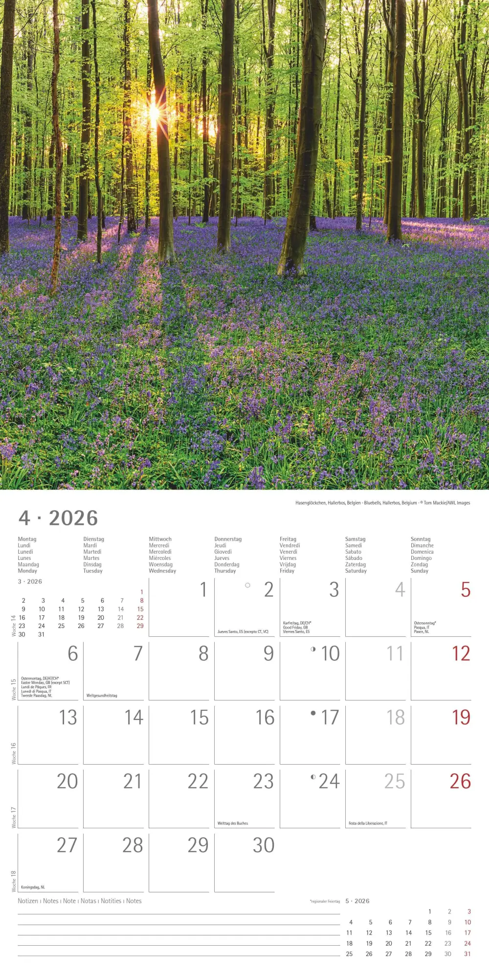 Bild: 4069095005693 | Emotions 2026 - Broschürenkalender 30x30 cm (30x60 geöffnet) -...