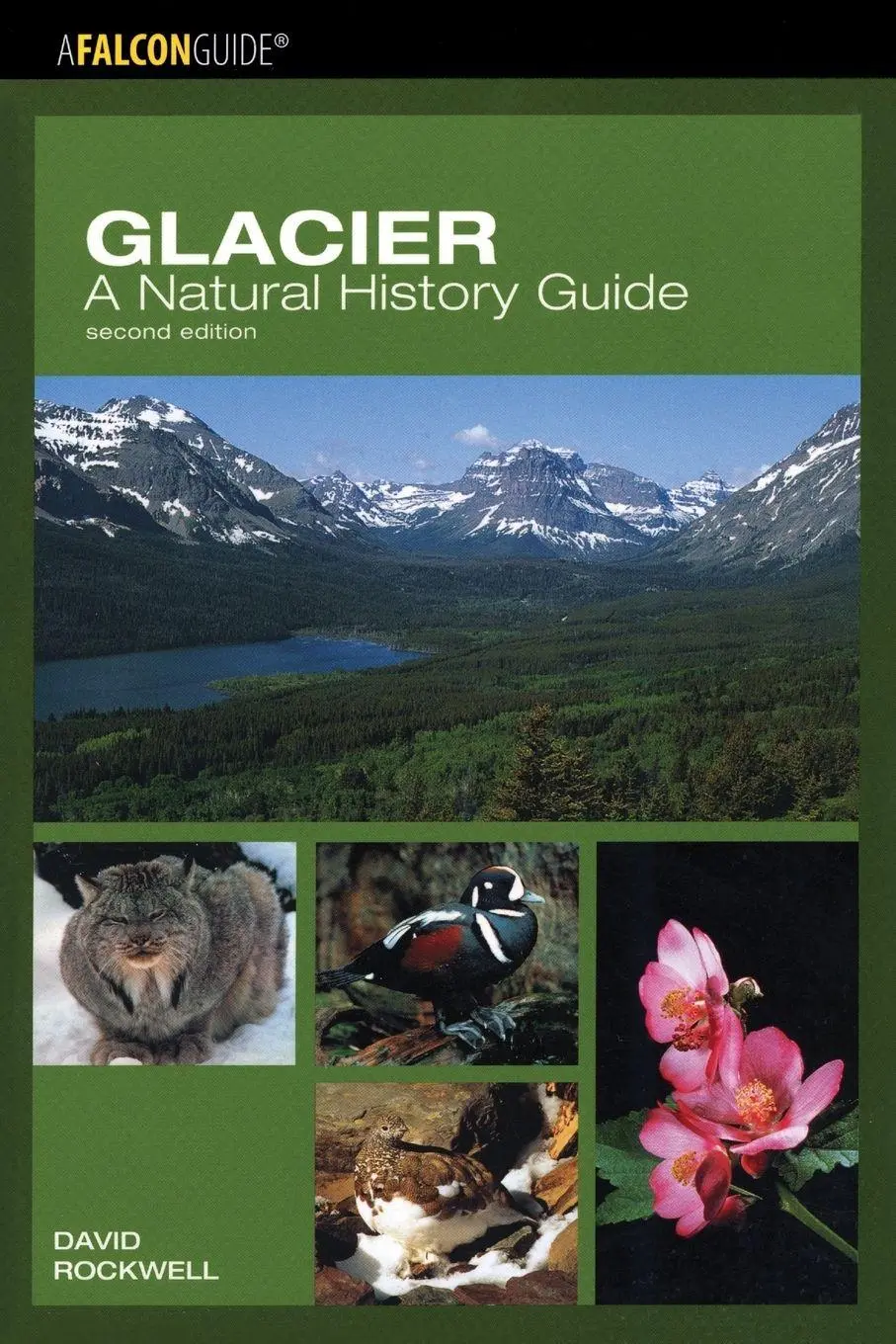 Cover: 9780762735693 | Glacier | A Natural History Guide | David Rockwell | Taschenbuch