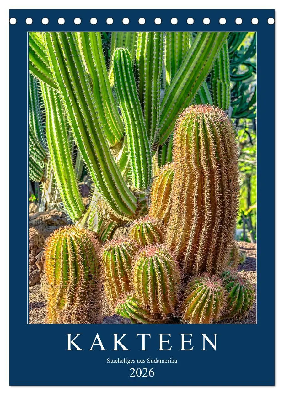 Cover: 9783516395693 | Kakteen - Stacheliges aus Südamerika (Tischkalender 2026 DIN A5...