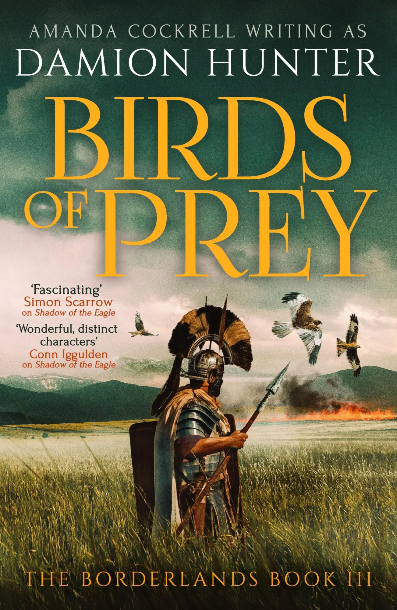 Cover: 9781804365793 | Birds of Prey | Damion Hunter | Taschenbuch | Englisch | 2024